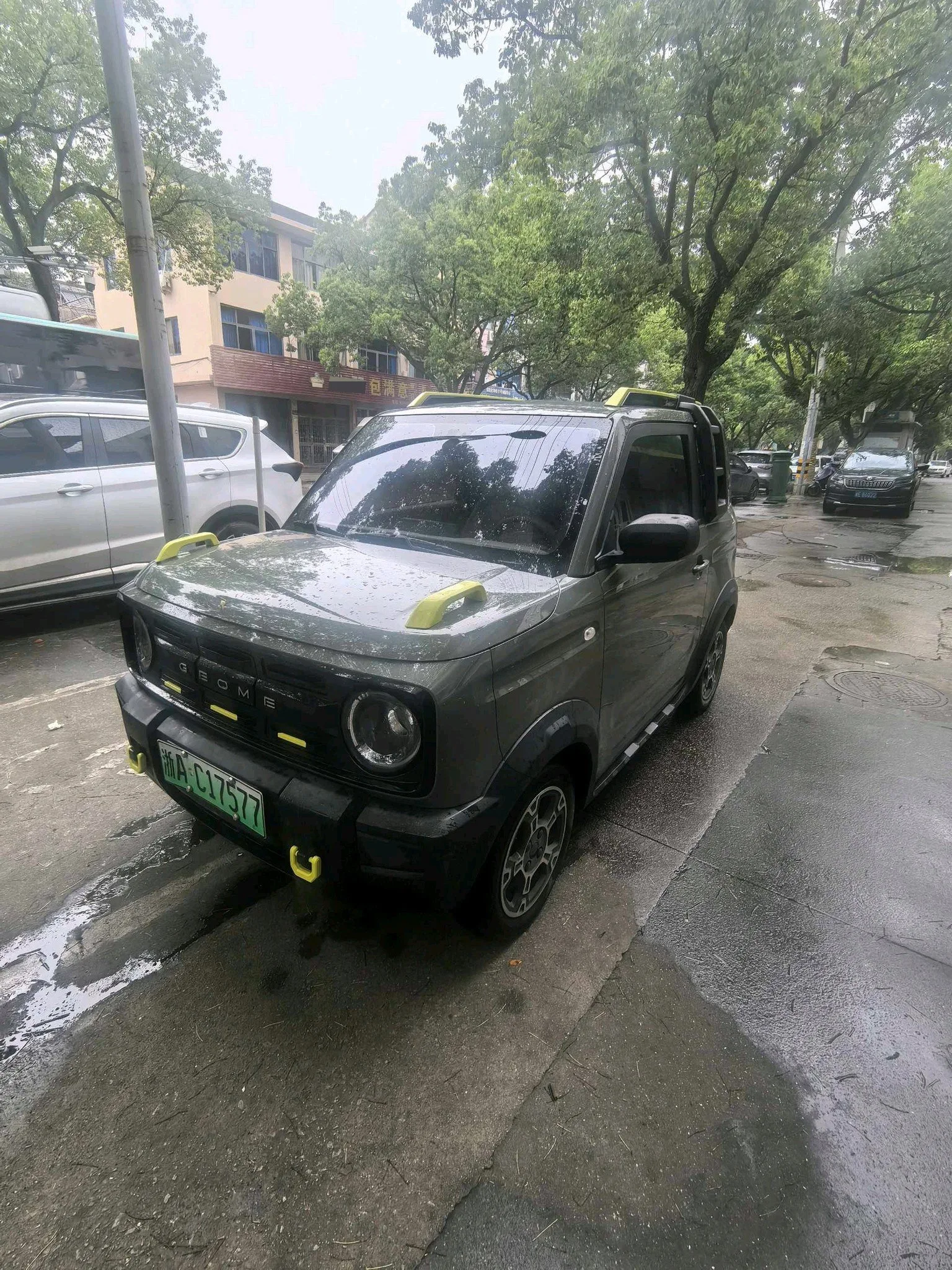 Panda 2024 Model 200km Panda Rider