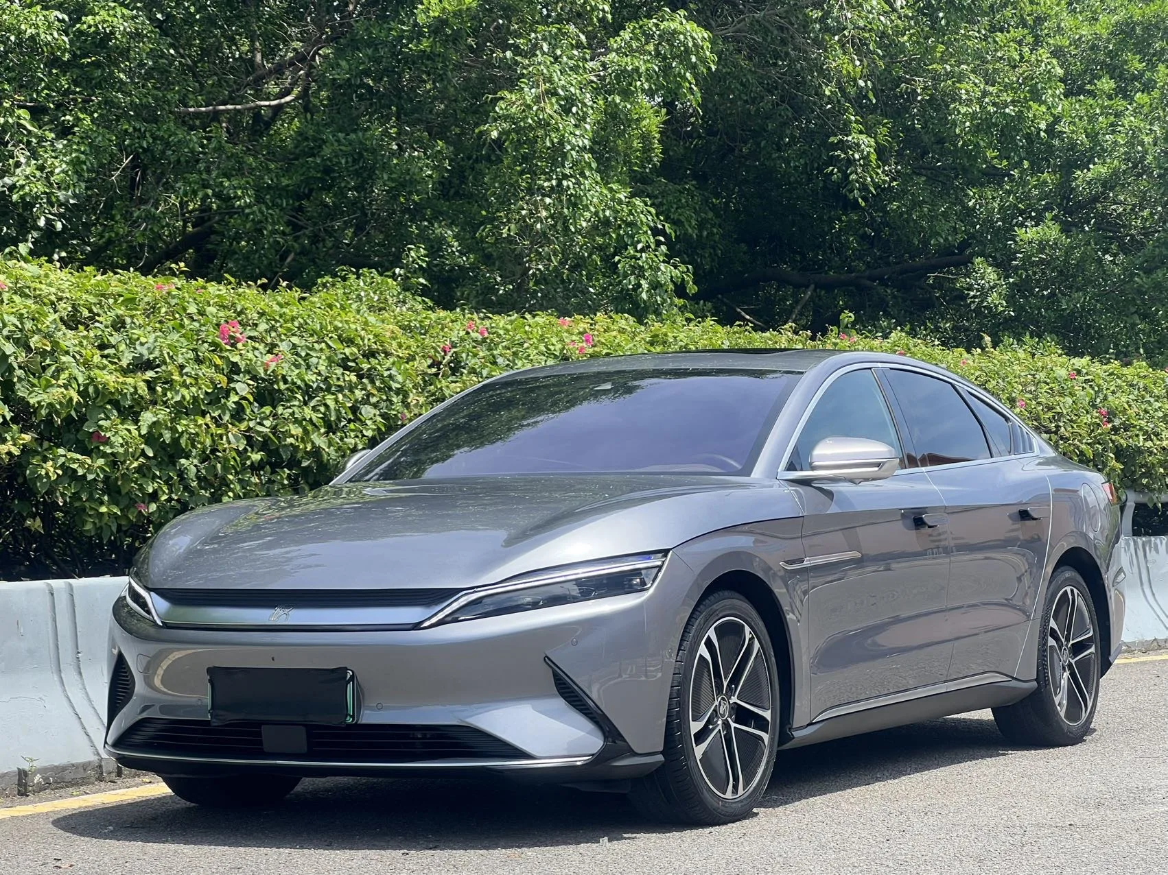 Han 2020 EV Extended Range Premium Edition
