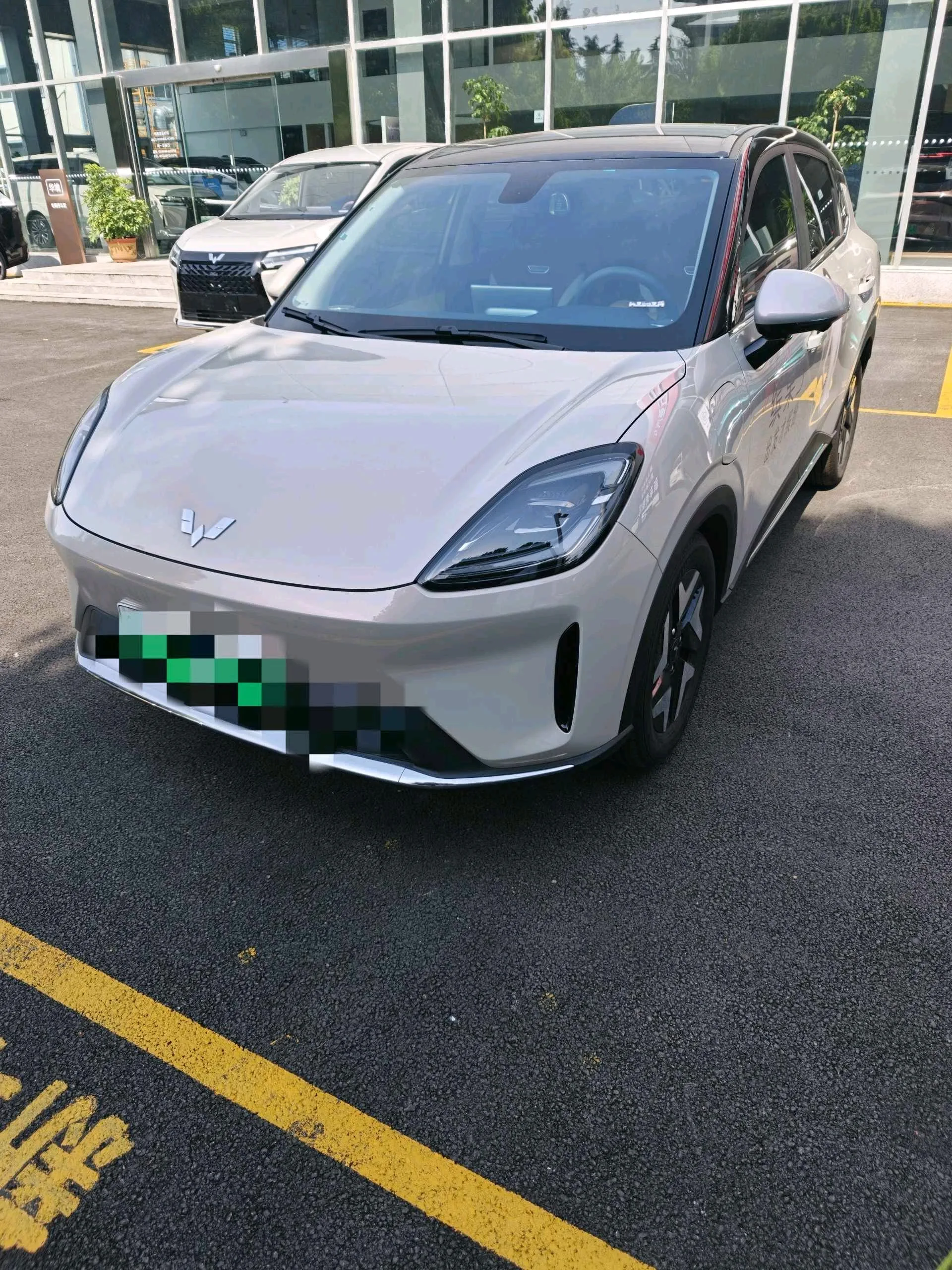 Bingo S 2025 Model 325km Premium Edition