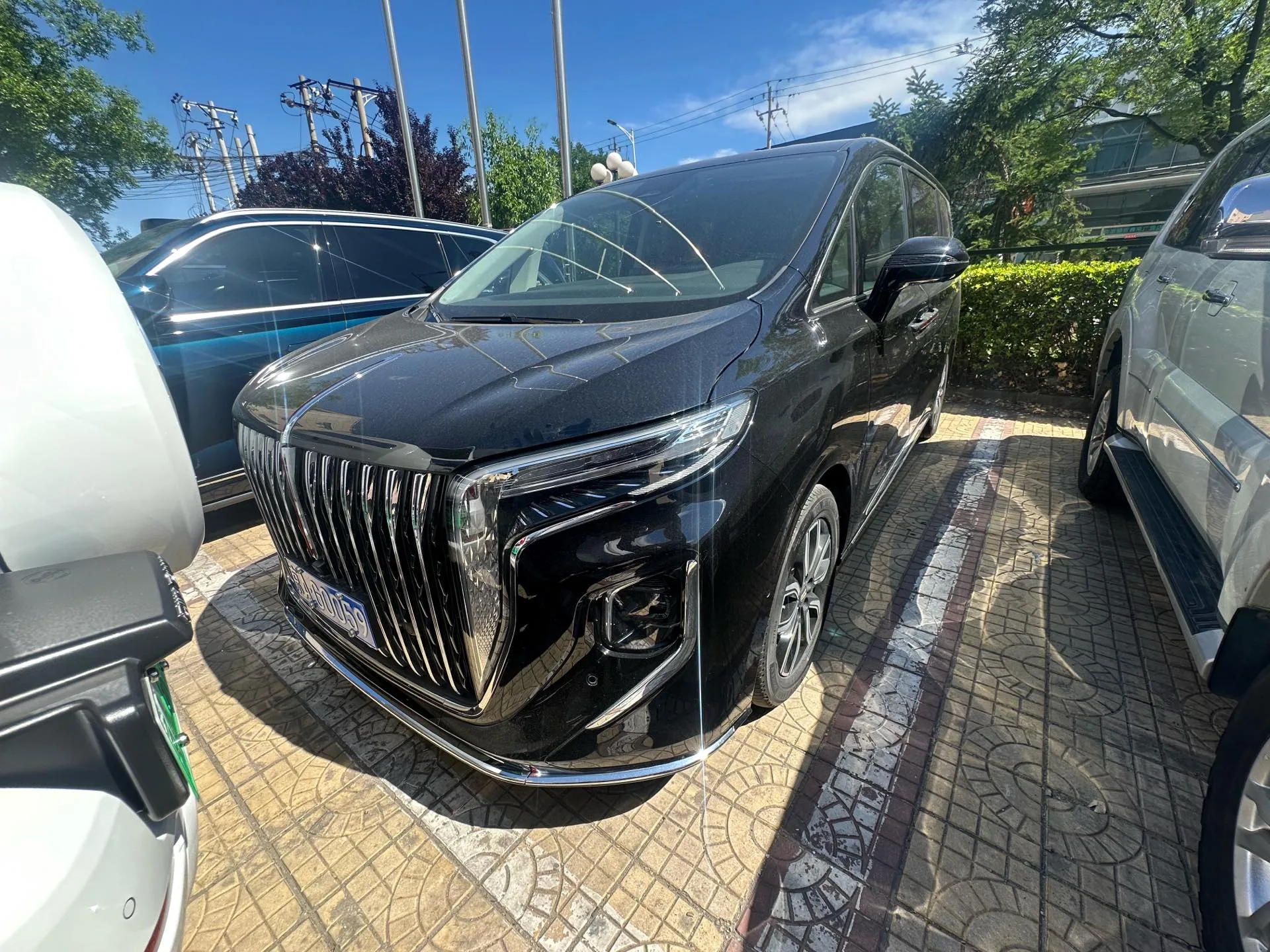 Hongqi HQ9 2023 2.0T Intelligent Flagship Edition
