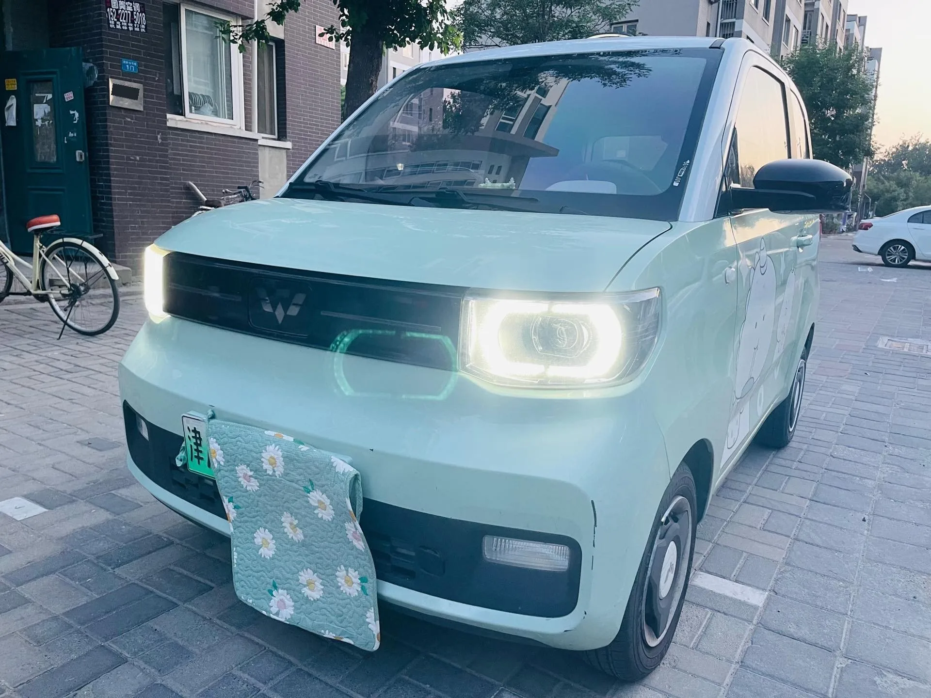 Hongguang MINIEV 2022 Macaron Premium Edition Ternary Lithium