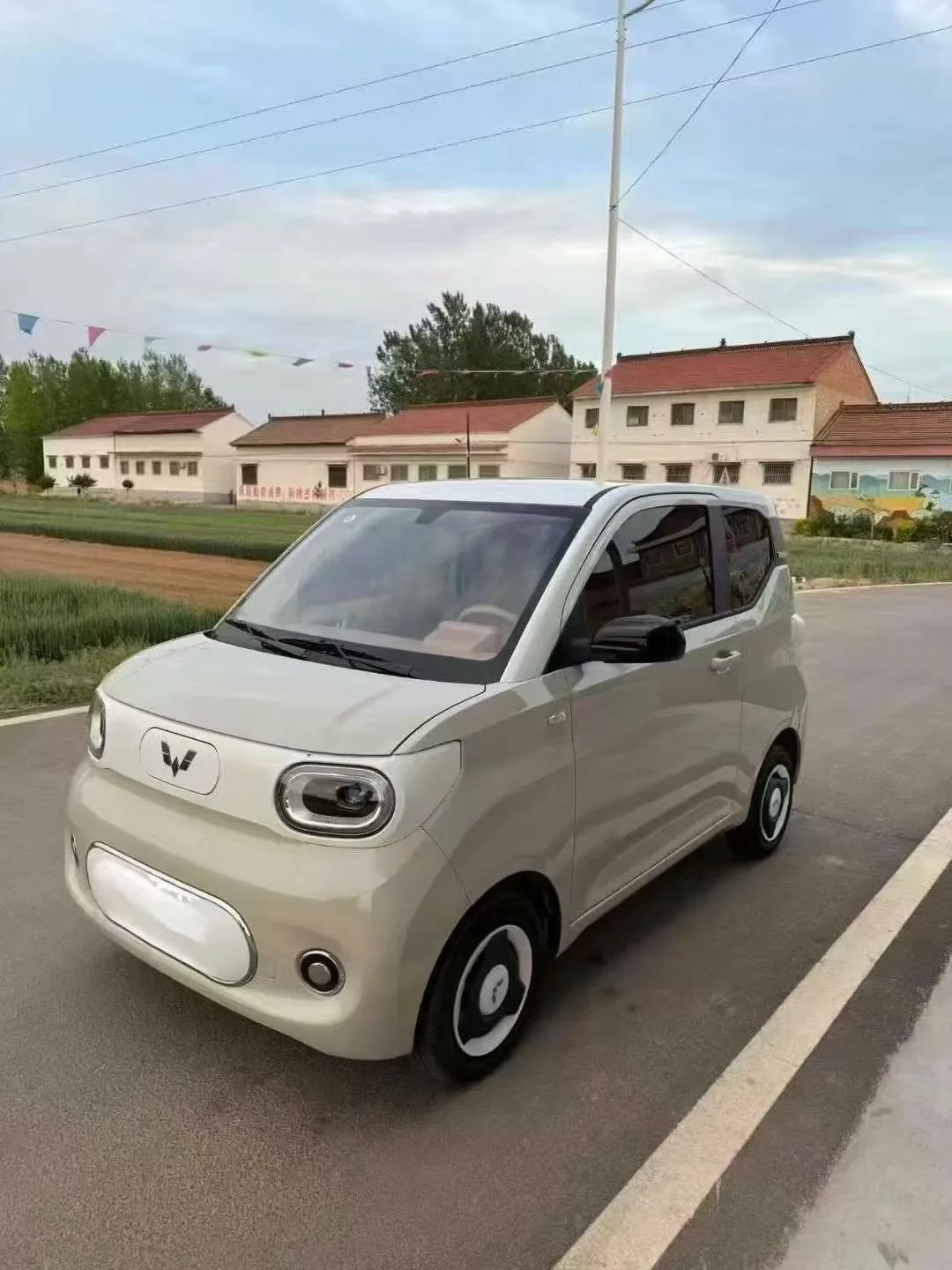 Wuling 2024 Hongguang MINI EV 215km Youth Edition Automatic
