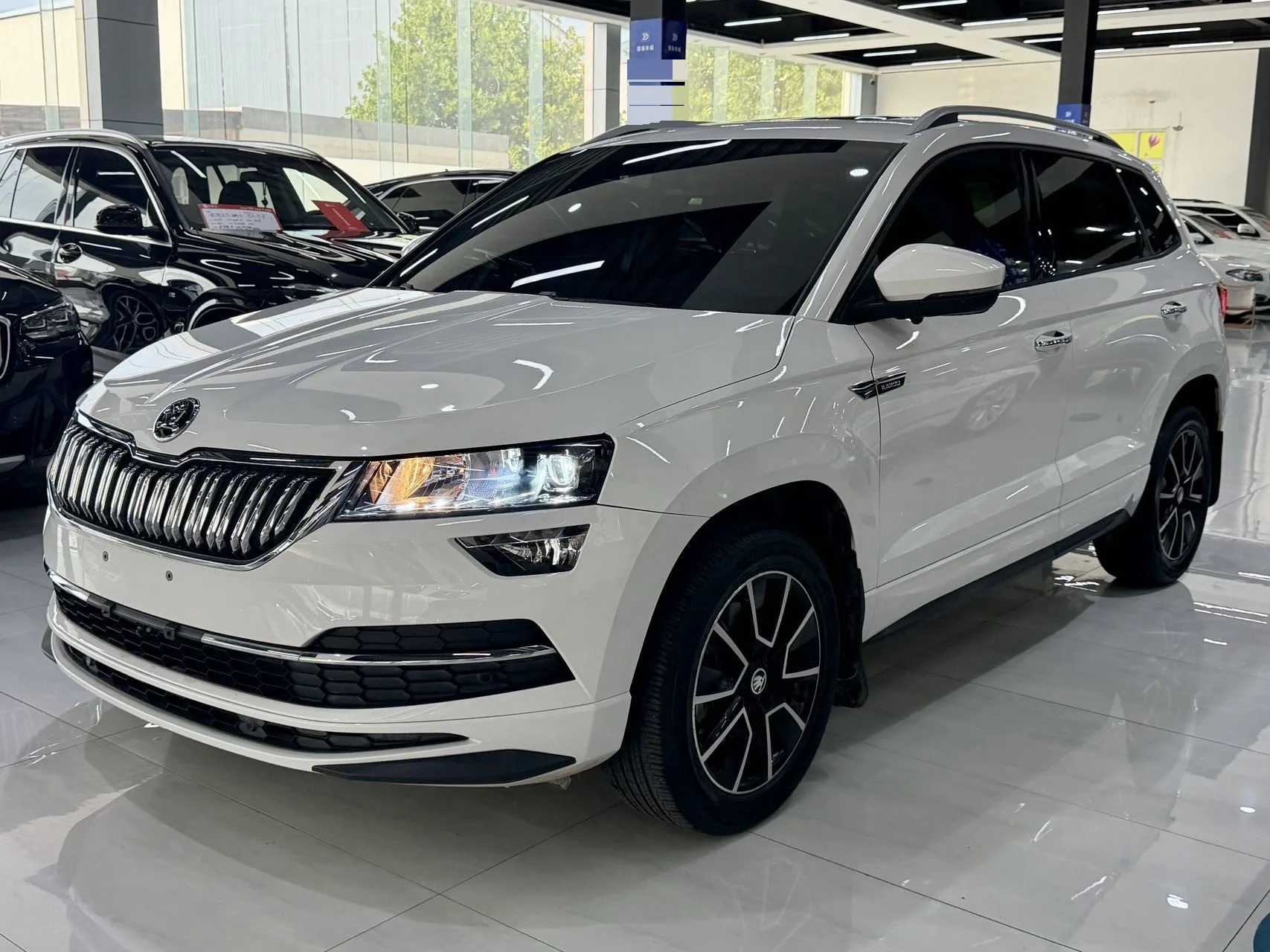 Karoq 2022 TSI280 Premium Edition