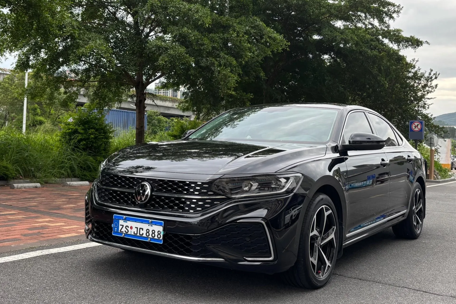 Volkswagen 2026 Passat 2.0TSI 380TSI Outstanding Edition Starry Sky Dragon Edition Automatic Transmission