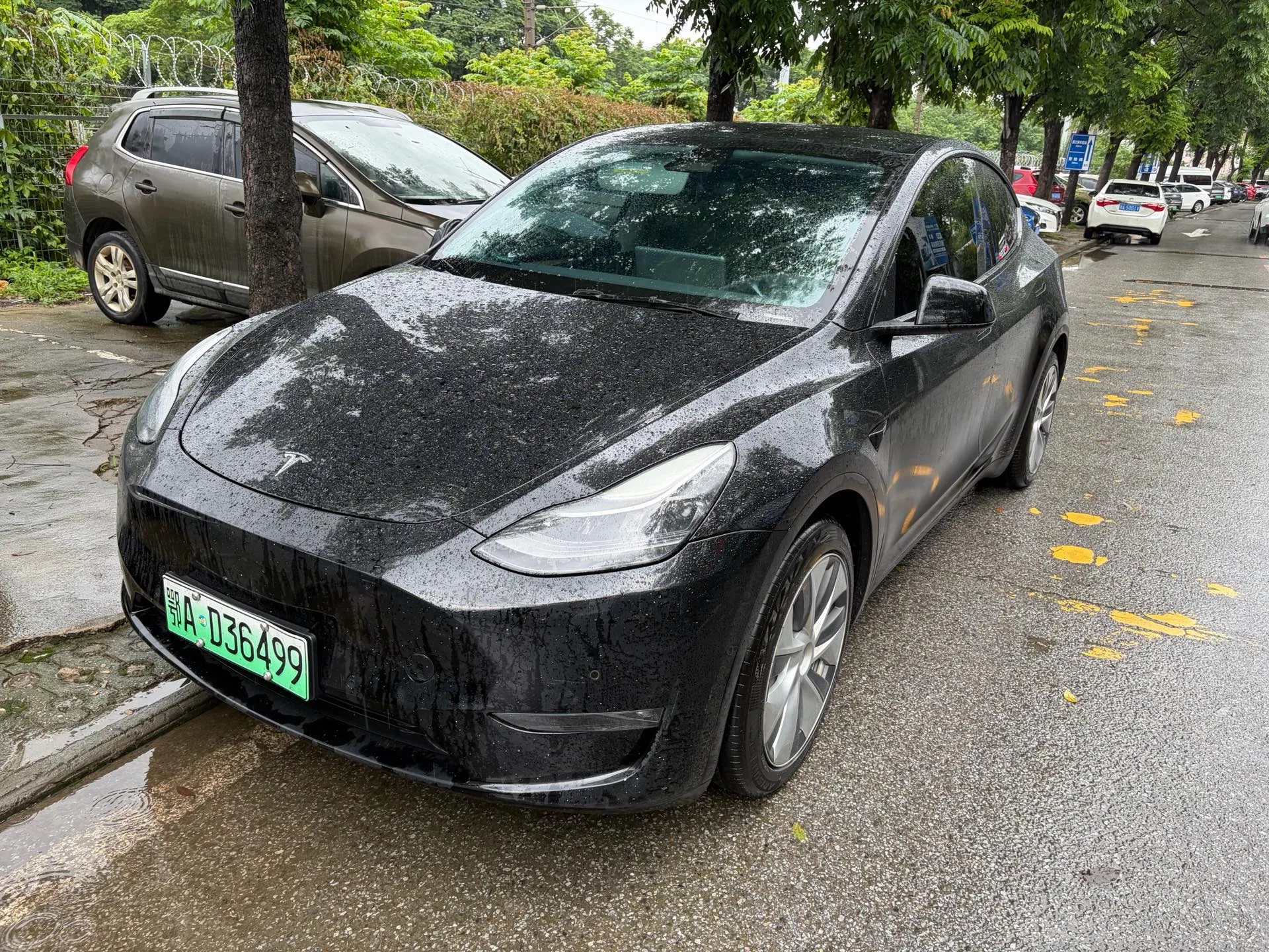 Model Y 2021 Standard Range Rear-Wheel Drive