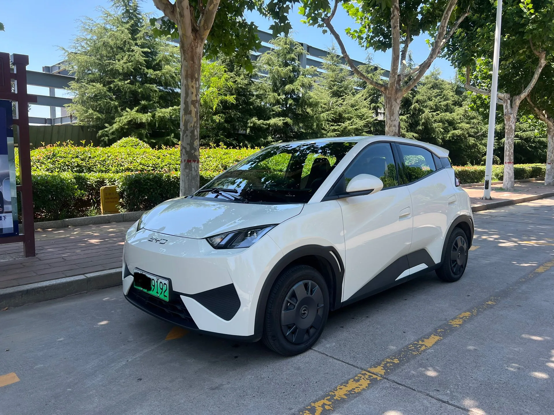 BYD 2025 Seagull Smart Driving Edition 305km/h Vitality Edition Automatic