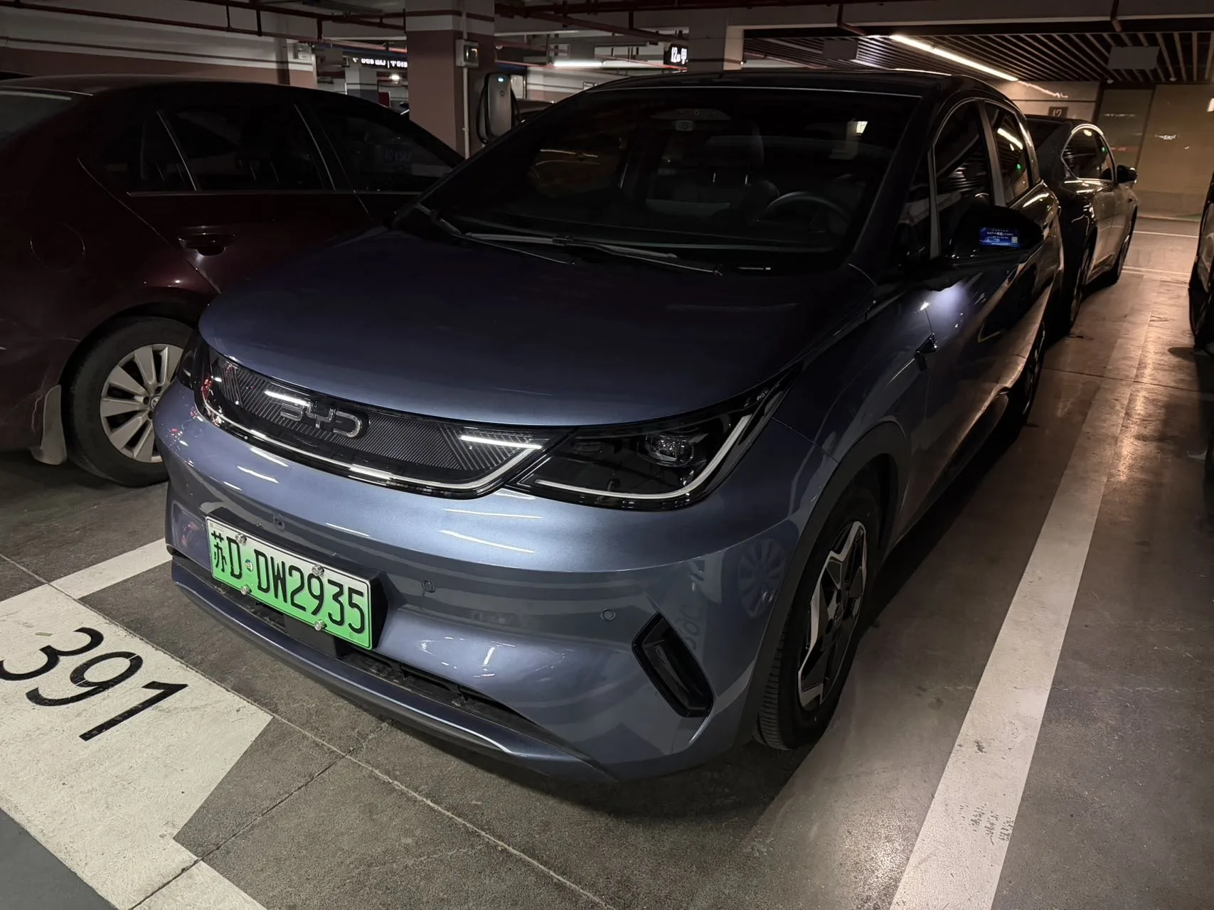 BYD 2025 Dolphin Smart Driving Edition 420km Freedom Edition Automatic Transmission