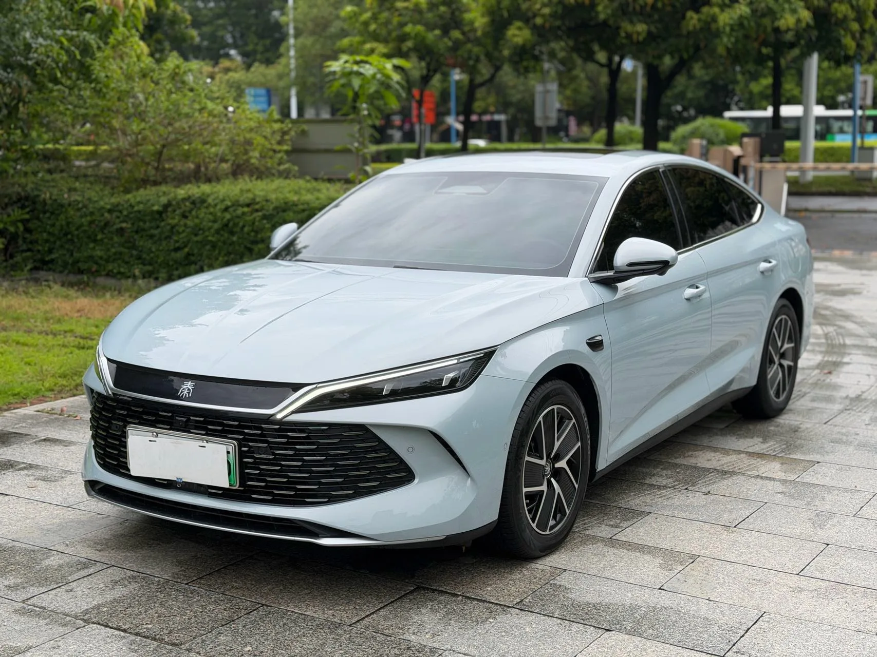 Qin L 2024 DM-i 80KM Super Edition