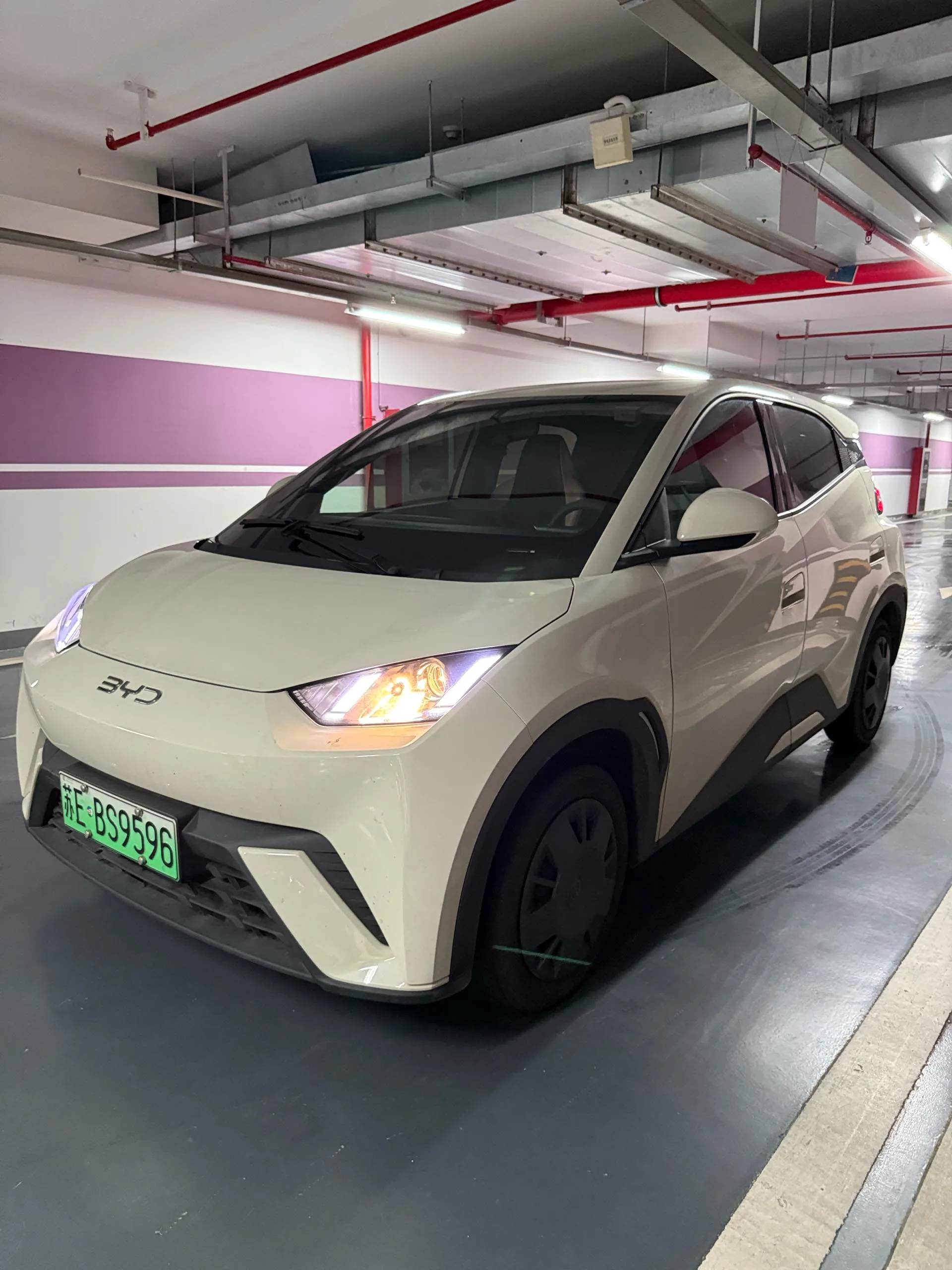 BYD 2025 Seagull 305km/h Vitality Edition Automatic