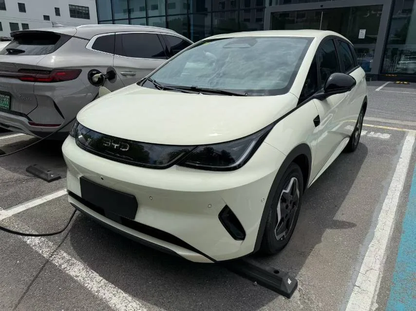 BYD 2025 Dolphin Smart Driving Edition 420km Freedom Edition Automatic Transmission