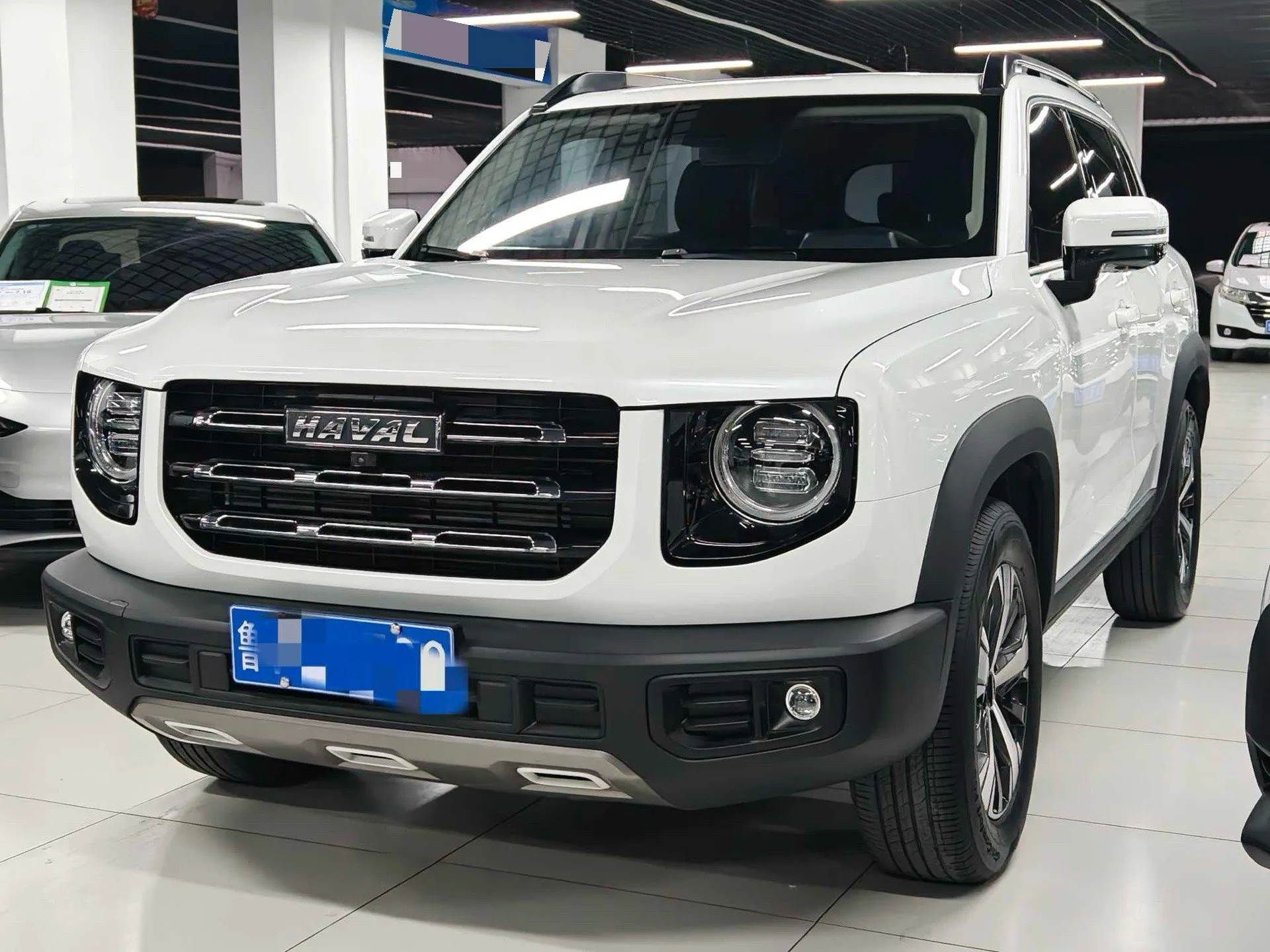 Haval Big Dog 2021 1.5T DCT 2WD Labrador Edition