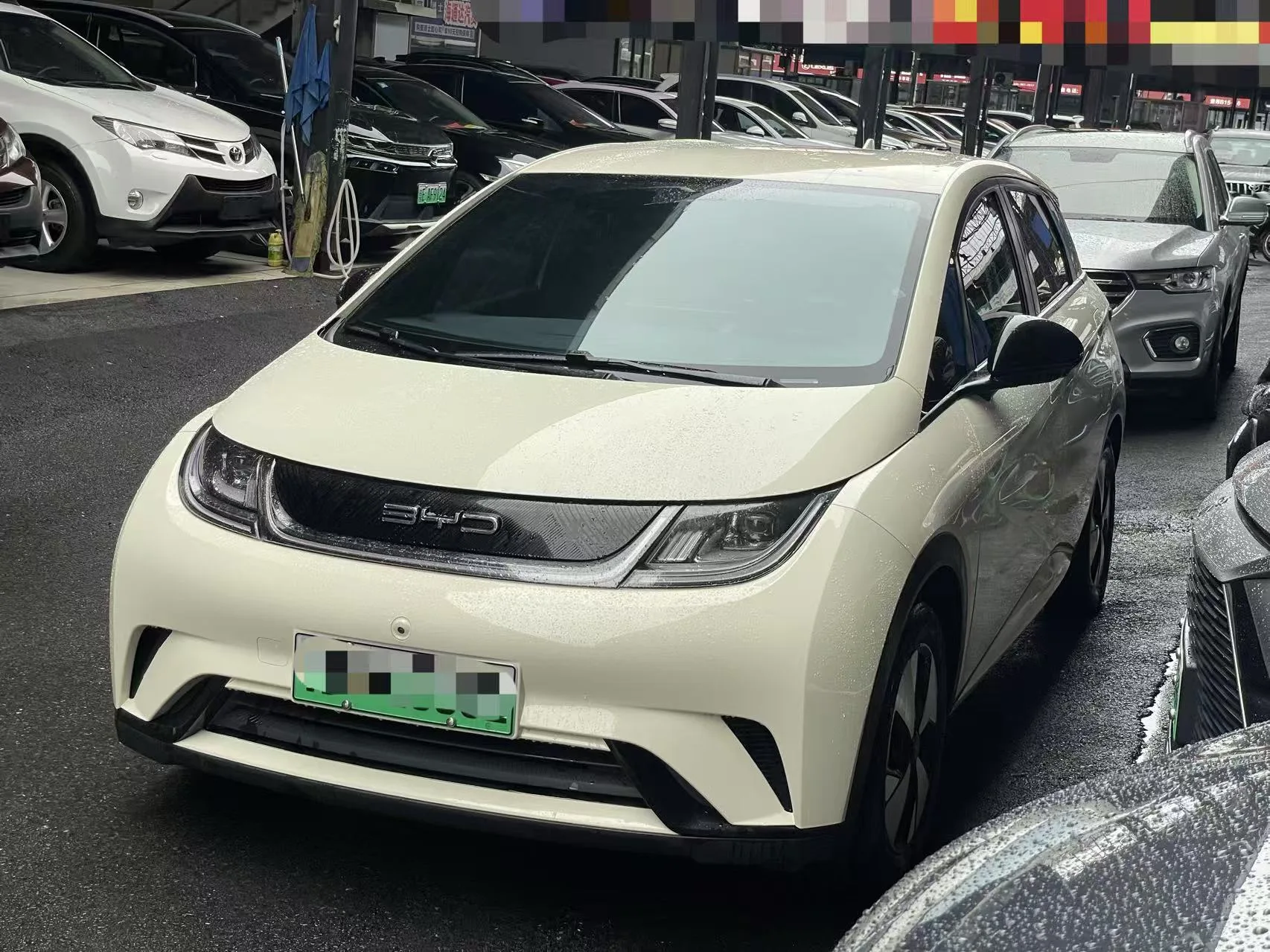 BYD 2023 Dolphin 420km Freedom Edition Automatic