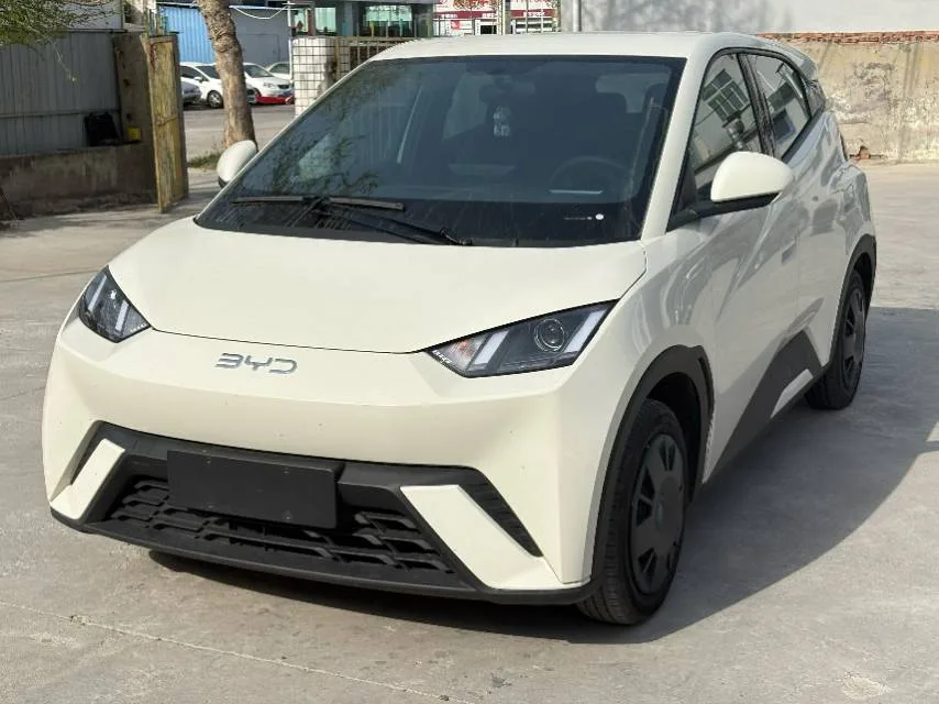 BYD 2025 Seagull Smart Driving Edition 305km/h Vitality Edition Automatic