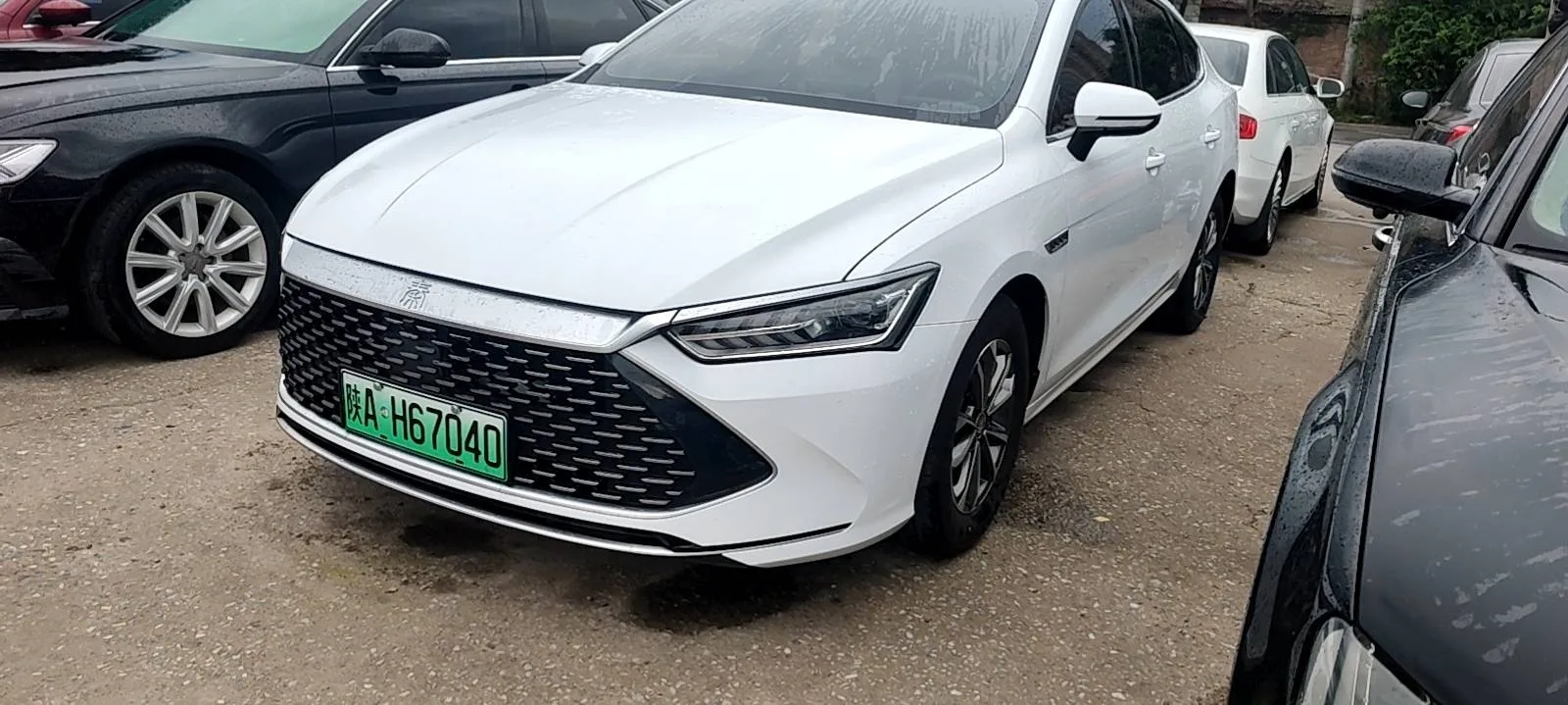 BYD 2023 Qin PLUS DM-i 1.5 CVT Champion Edition Excellence Model 120KM Automatic