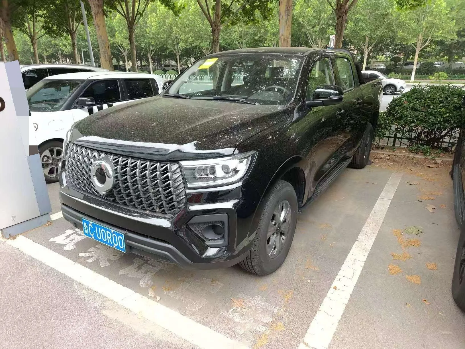 Great Wall 2023 Cannon 2.0T Commercial Version Diesel 4WD Elite Long Box Automatic Transmission