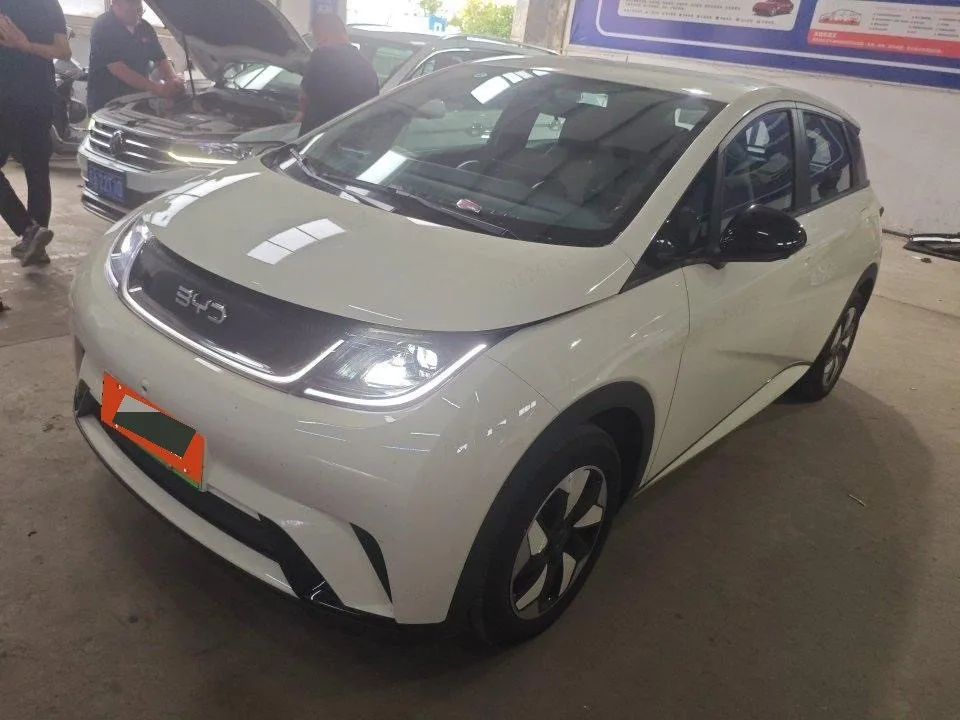 BYD 2025 Dolphin 420km Vitality Edition Automatic