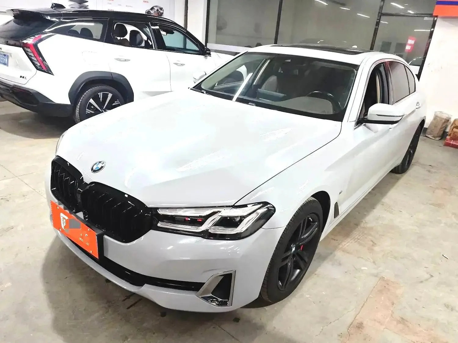 BMW 5 Series 2021 530Li Leading Luxury Package
