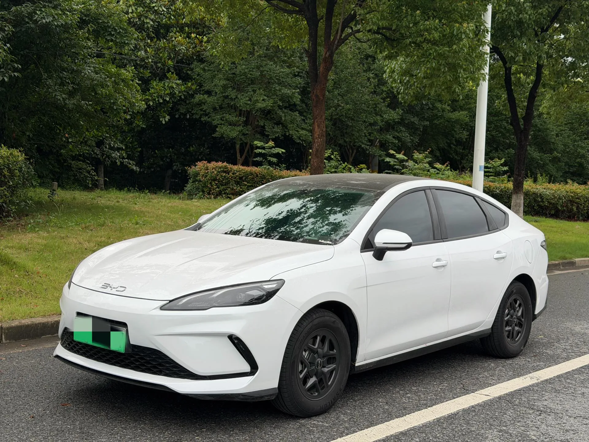 Seal 05 DM-i 2025 DM-i Intelligent Driving Edition 55KM Luxury Model