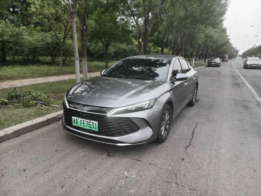 Qin L 2024 DM-i 80KM Leading Edition