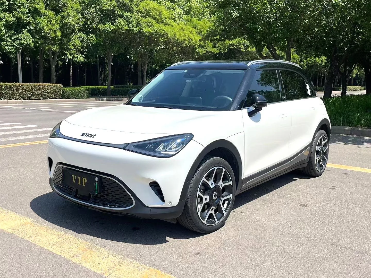 Smart Sprite #1 2022 Pulse Edition