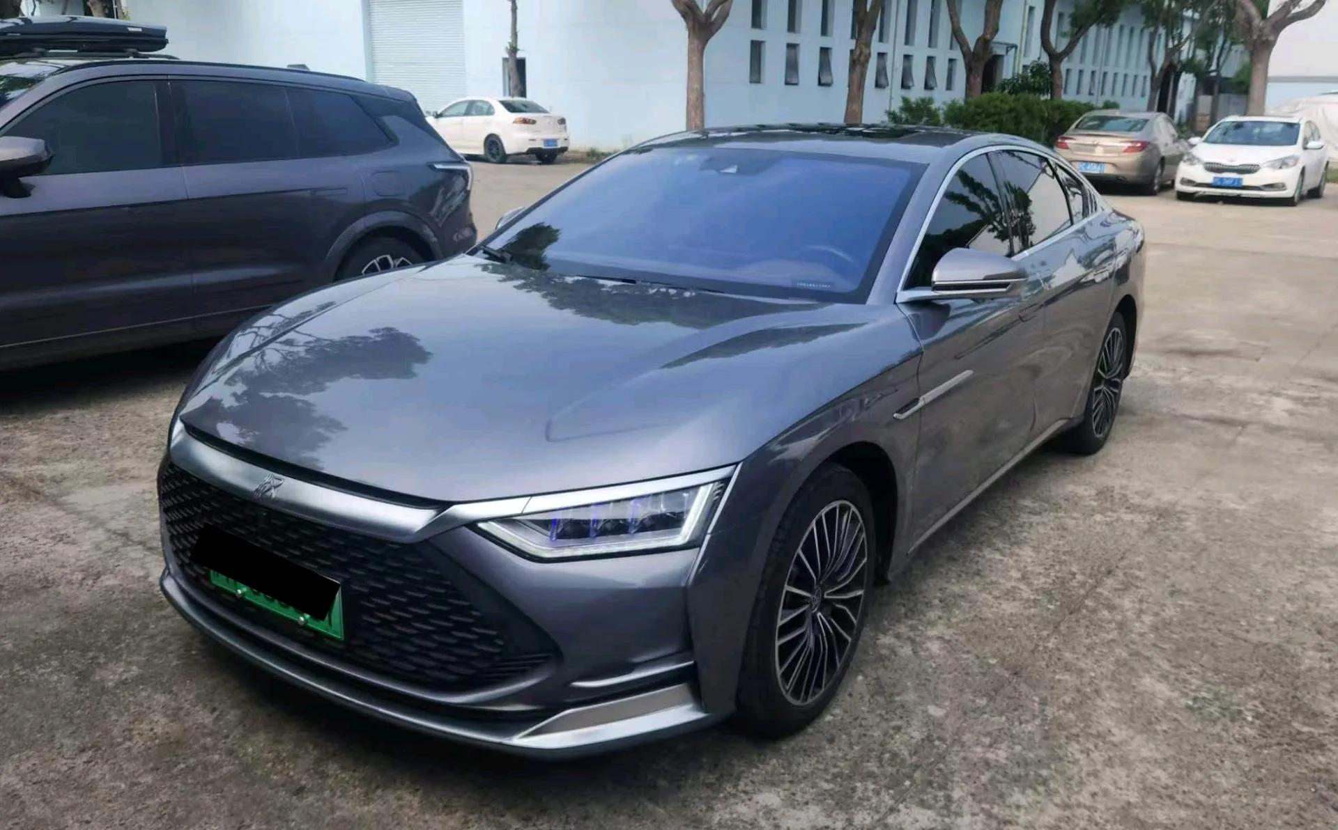 2020 Han DM 4WD Performance Premium Edition