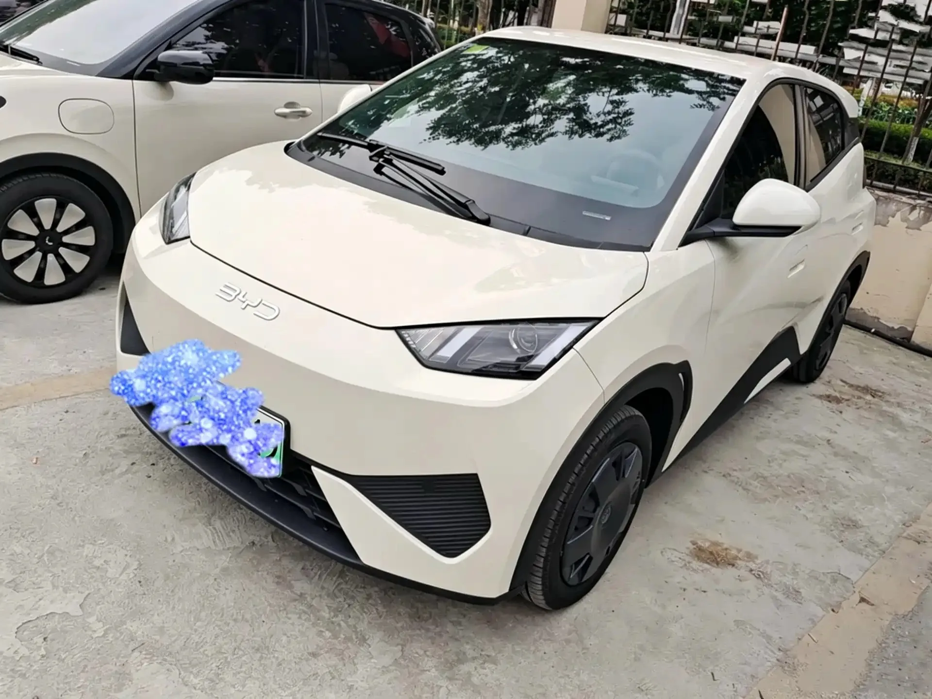 BYD 2025 Seagull 305km/h Freedom Edition Automatic