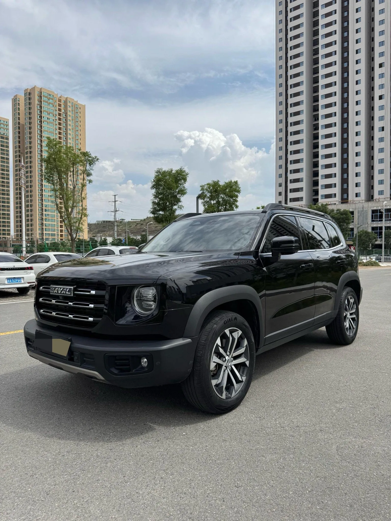 Haval Big Dog 2022 1.5T DCT 2WD Border Collie Edition