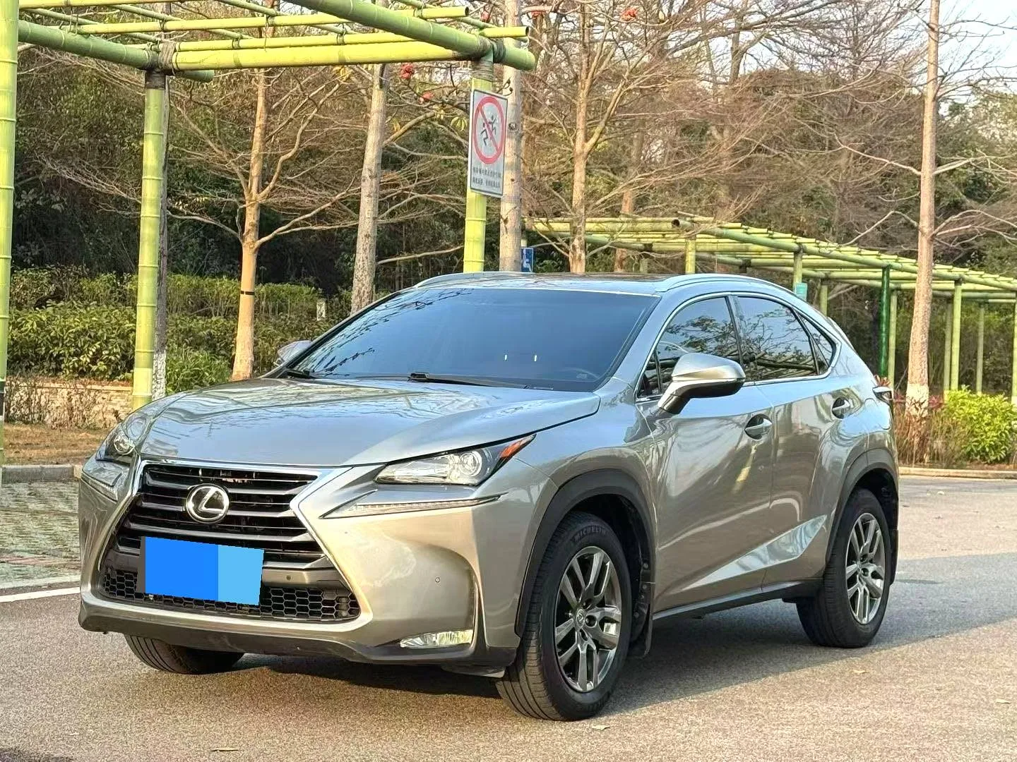 Lexus NX 2015 200t AWD Sport Edition