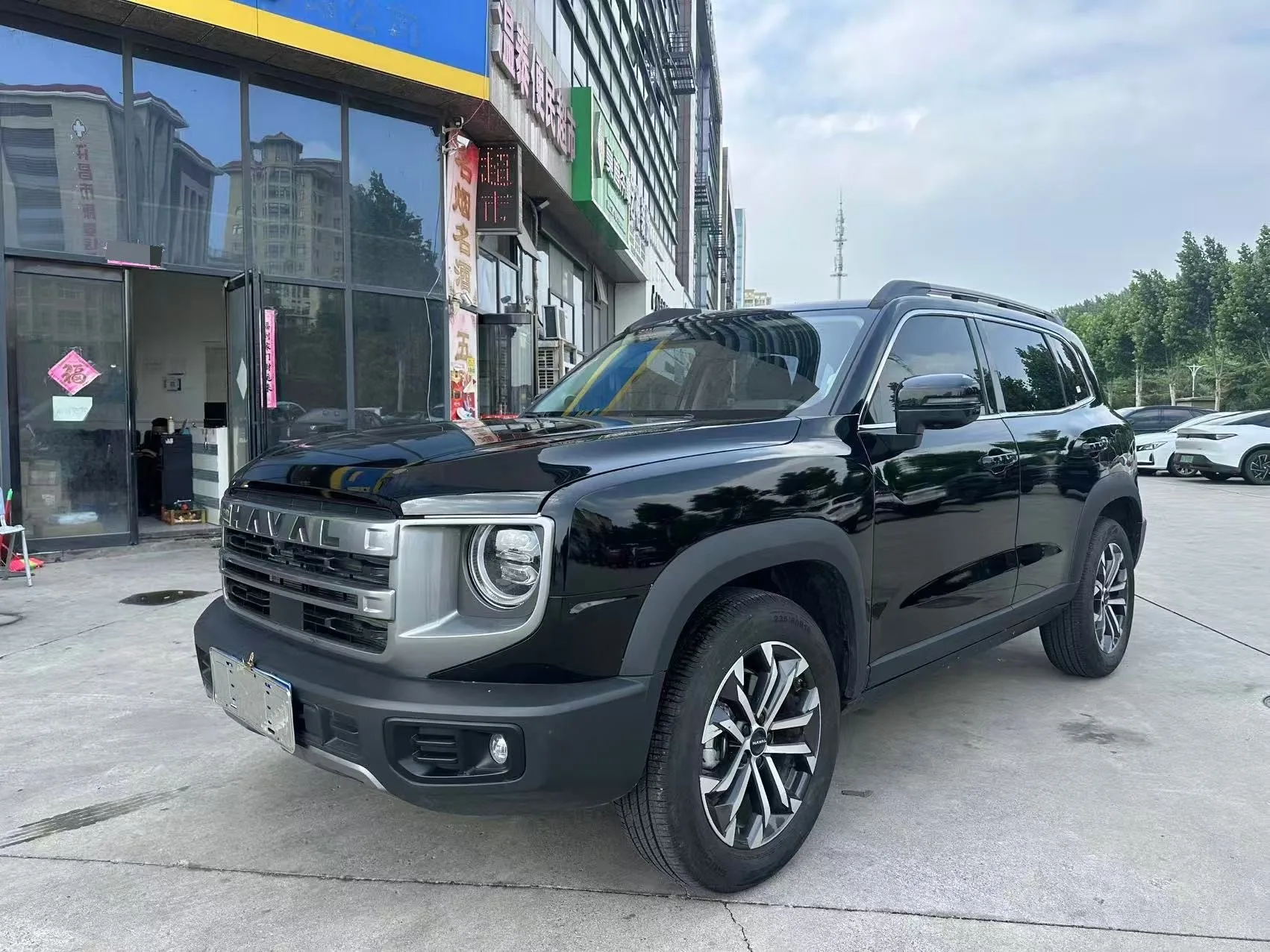 Haval 2024 Big Dog 1.5T Labrador Edition Automatic