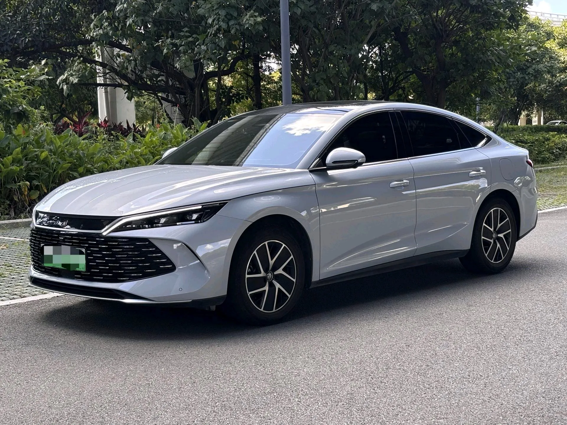 Qin L 2024 DM-i 120KM Super Edition