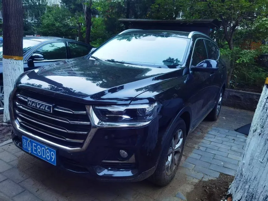 2021 Haval H6 "Guochao" Edition 1.5GDIT Automatic Champion Edition