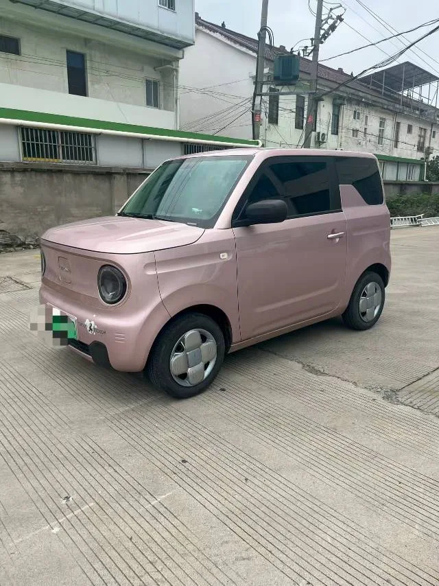 Panda 2023 Panda Mini 200km Endurance Bear
