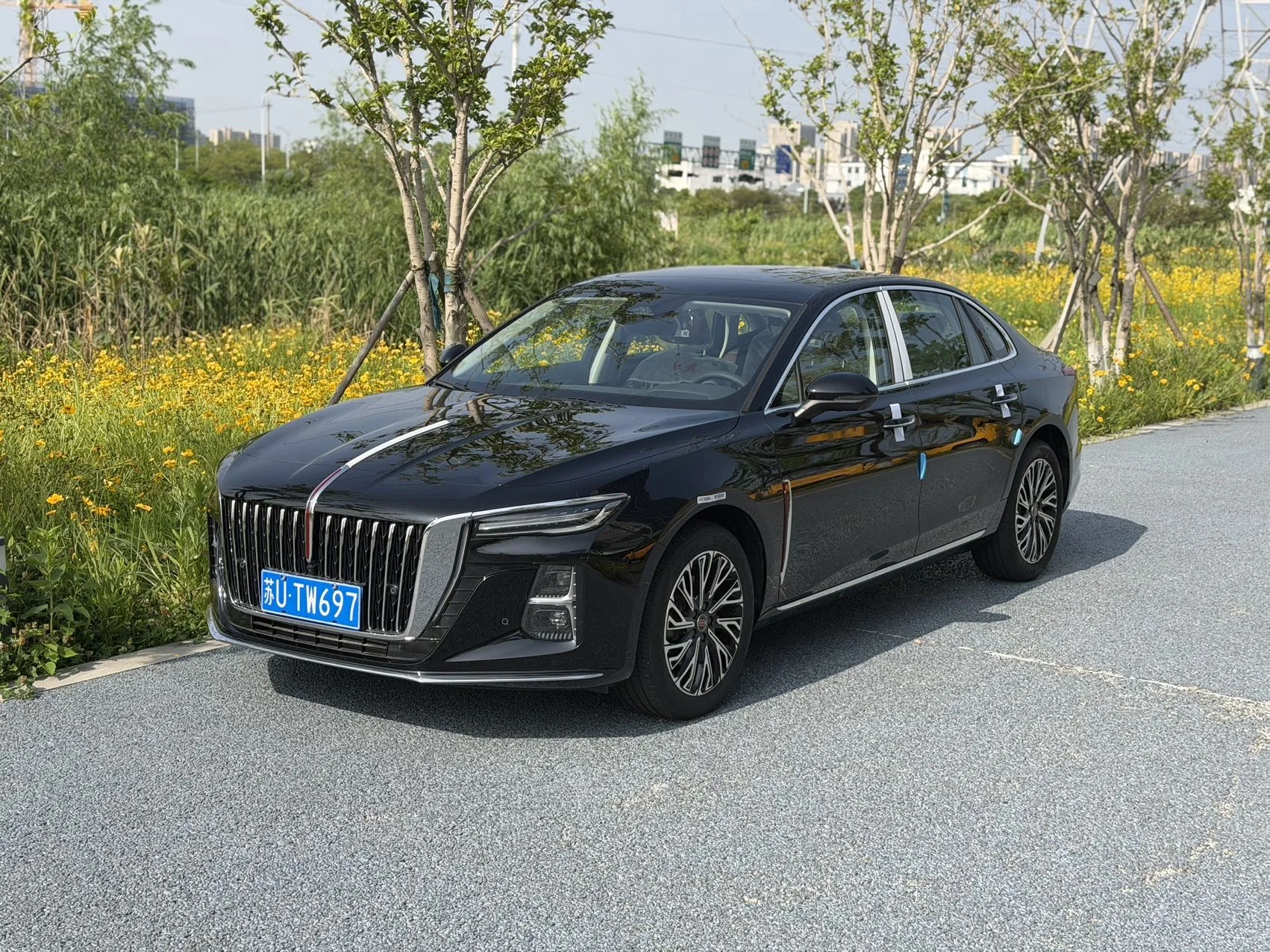 Hongqi 2025 H5 2.0T Flagship 500,000th Unit Commemorative Edition Automatic Transmission
