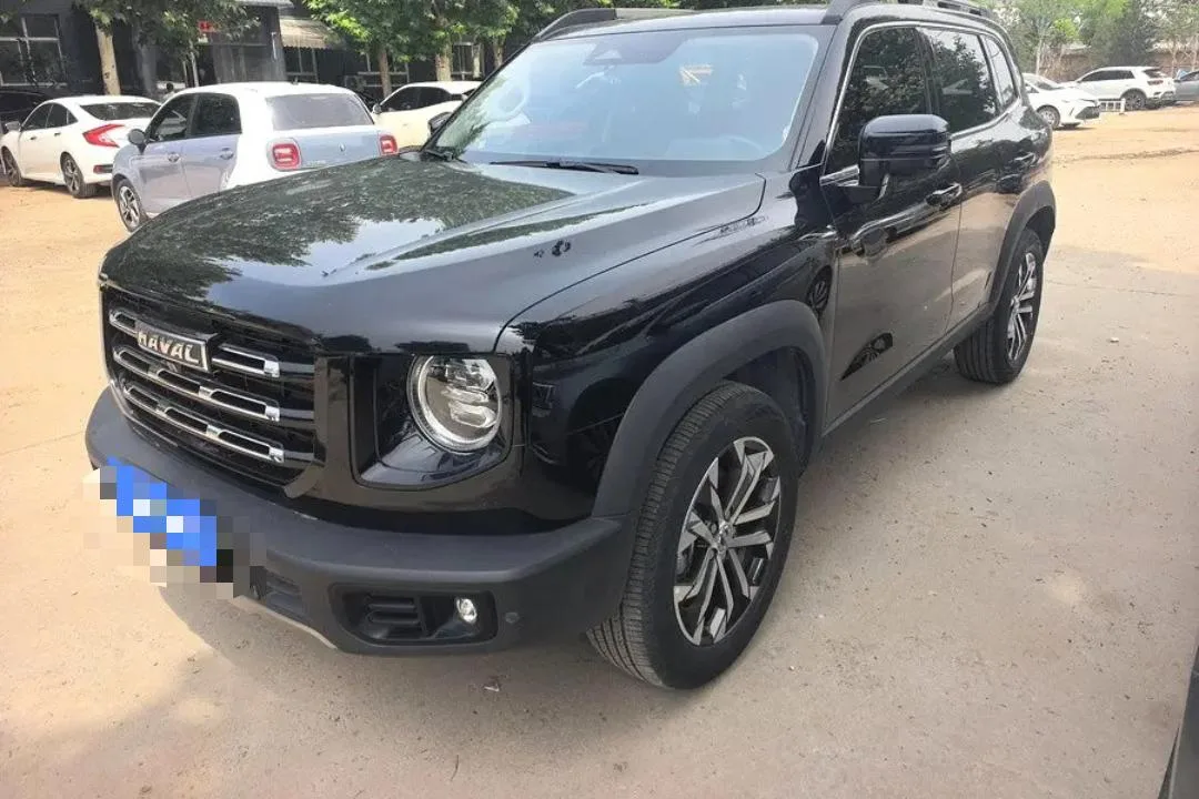Haval Big Dog 2022 1.5T DCT 2WD Border Collie Edition