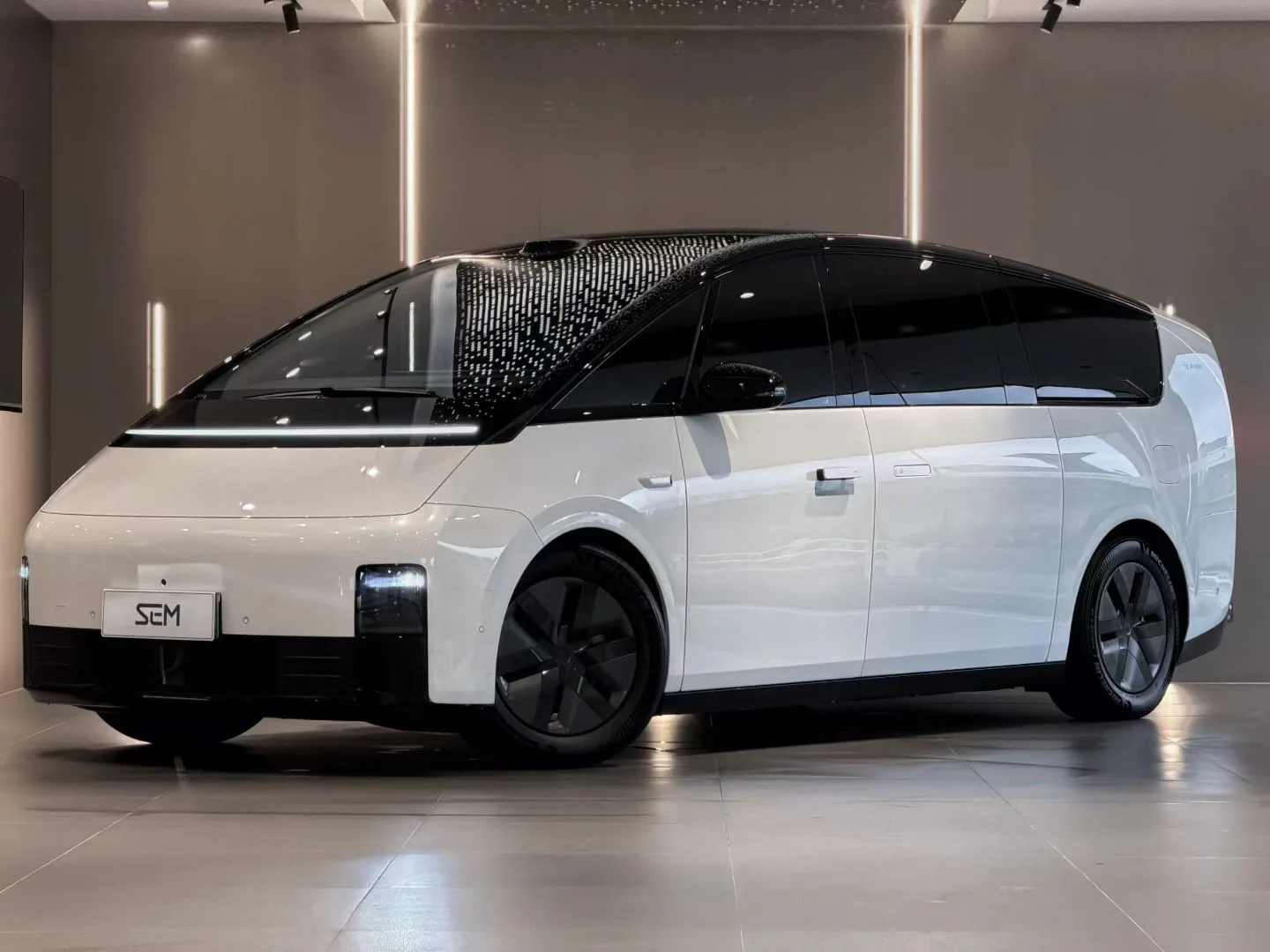 Li Auto 2025 MEGA Home Family Special Edition Automatic
