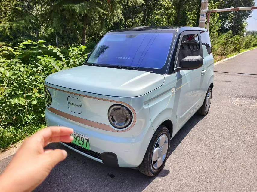Panda 2023 Panda Mini 200km Endurance Bear