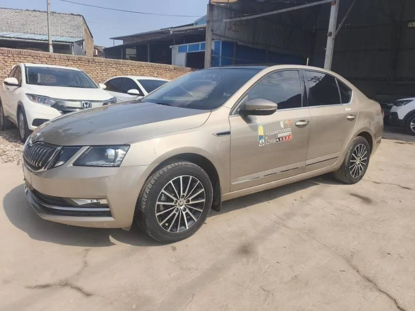 Octavia 2019 TSI230 DSG Luxury Edition