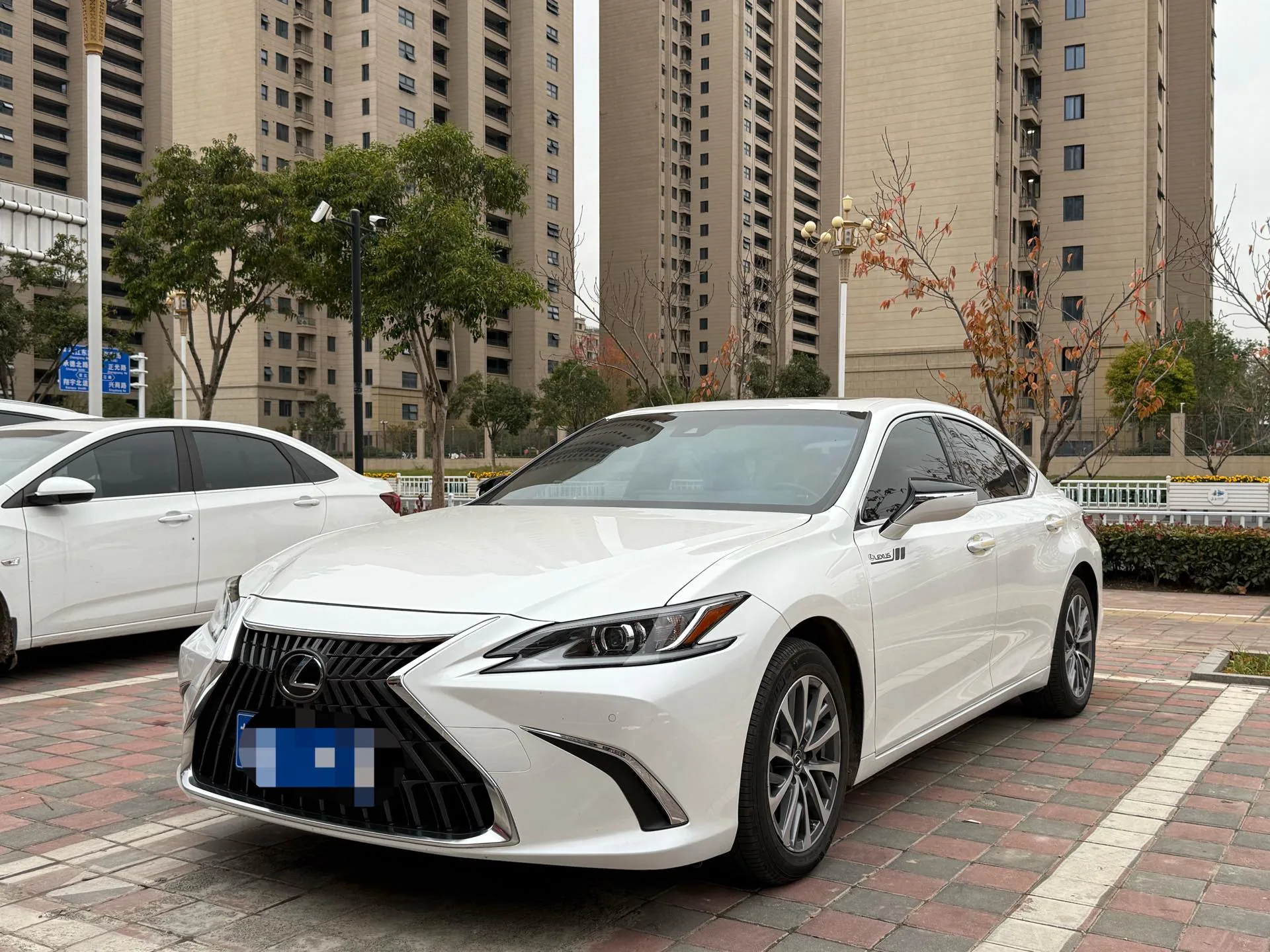 Lexus ES 2023 200 Premium Edition