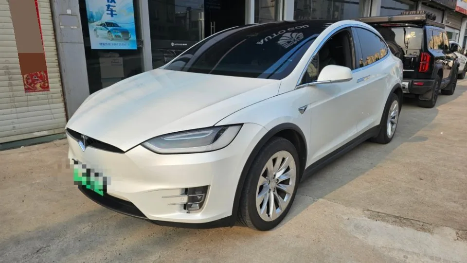 2017 Model X Model X 100D Long Range