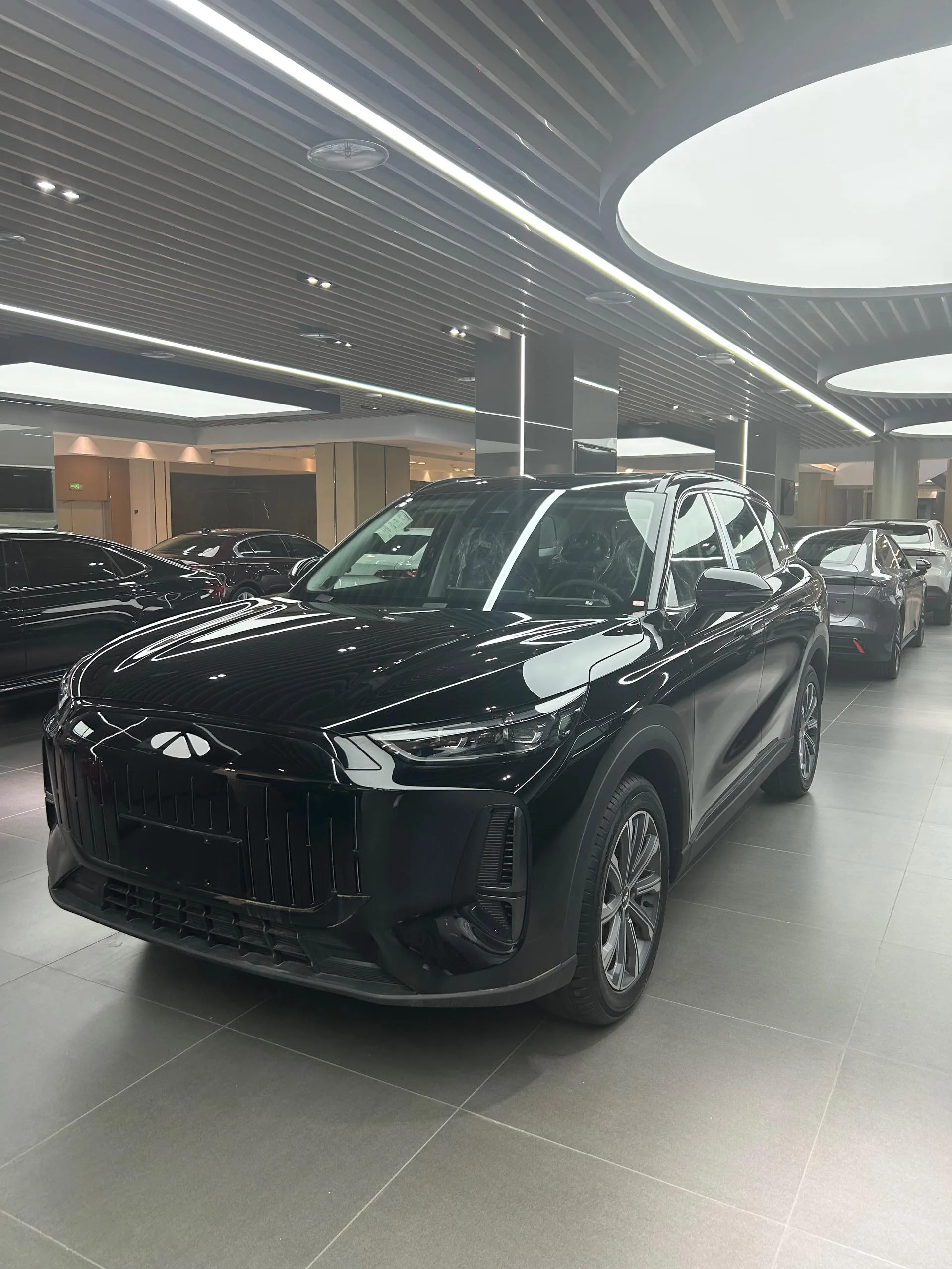 Chery 2025 Fengyun T9 C-DM 1.5T 120 Long Range Premium 5-Seater Lithium Iron Phosphate Battery Automatic Transmission