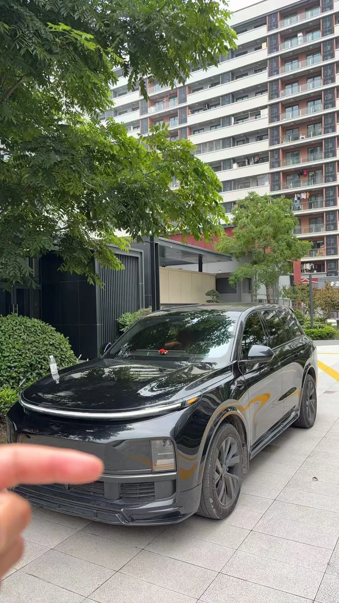 Li Auto L8 2023 Pro
