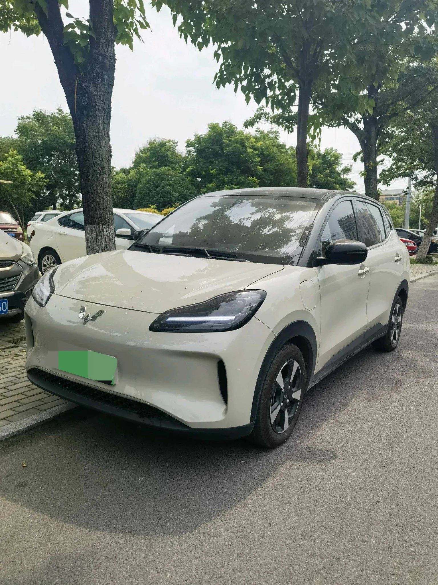 Wuling 2025 Bingo 333km Smart Connect Edition Automatic