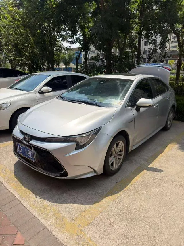 Levin 2019 Hybrid 1.8H E-CVT Luxury Edition (National V Emission Standard)