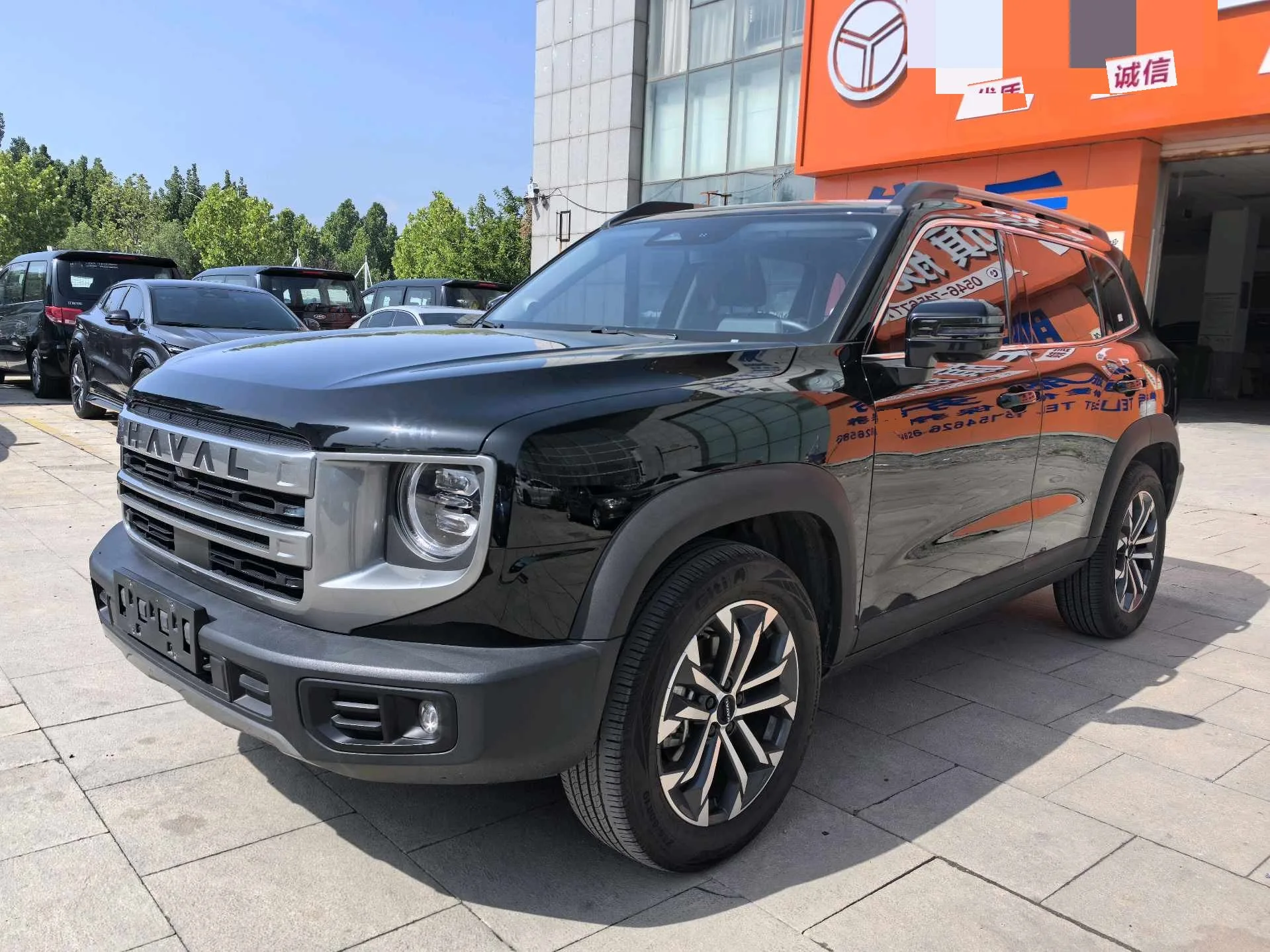 Haval Big Dog 2022 1.5T DCT 2WD Border Collie Edition