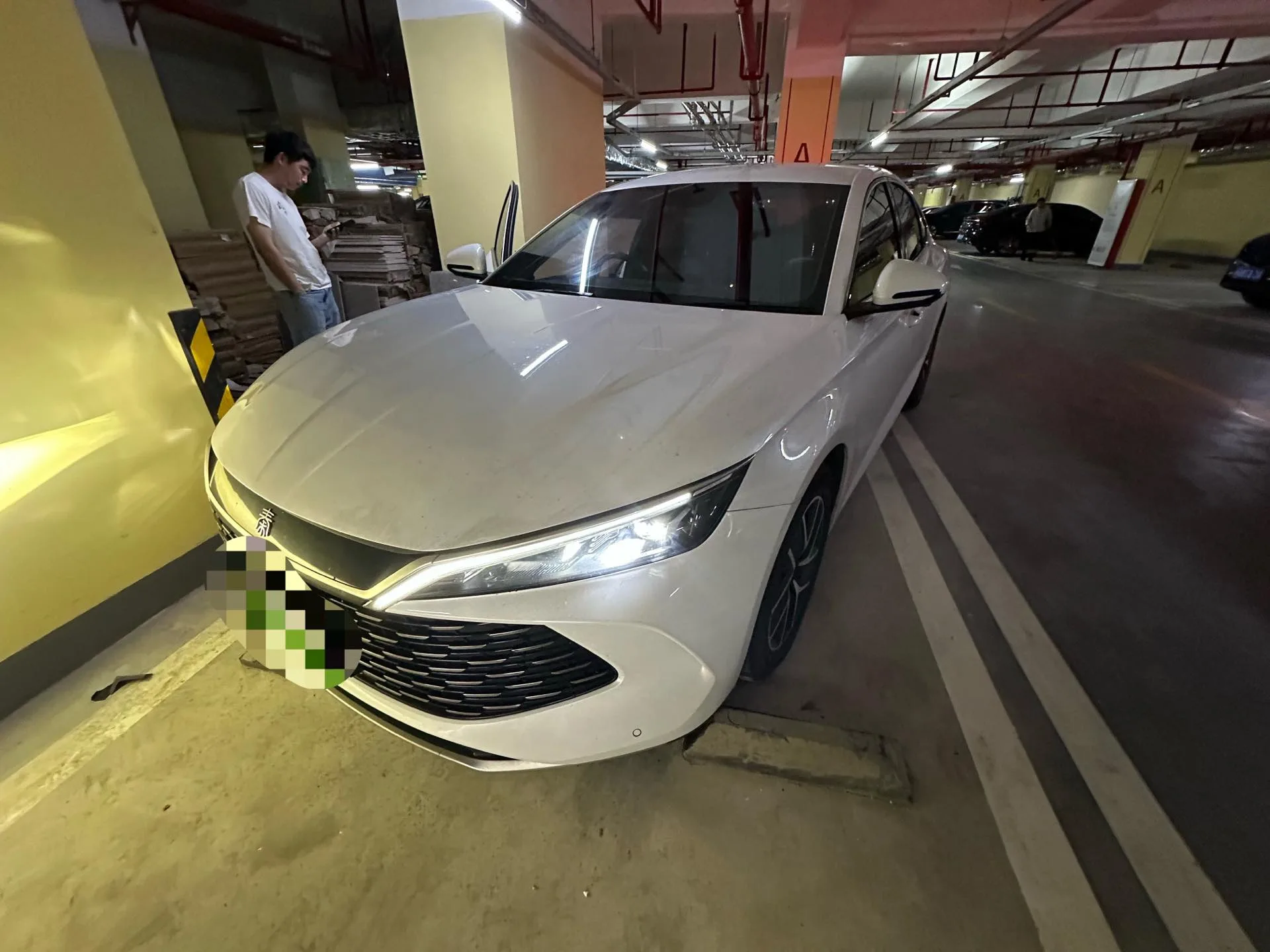 Qin L 2024 DM-i 80KM Transcend Edition