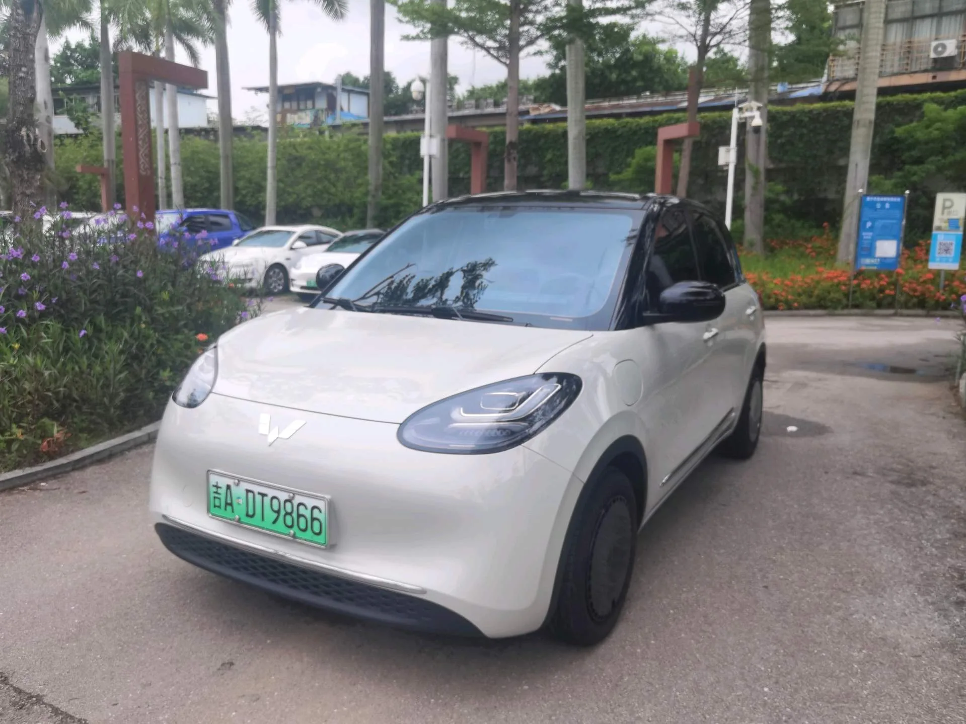 Wuling Bingo 2024 Model, 333km Range, Enjoy Edition