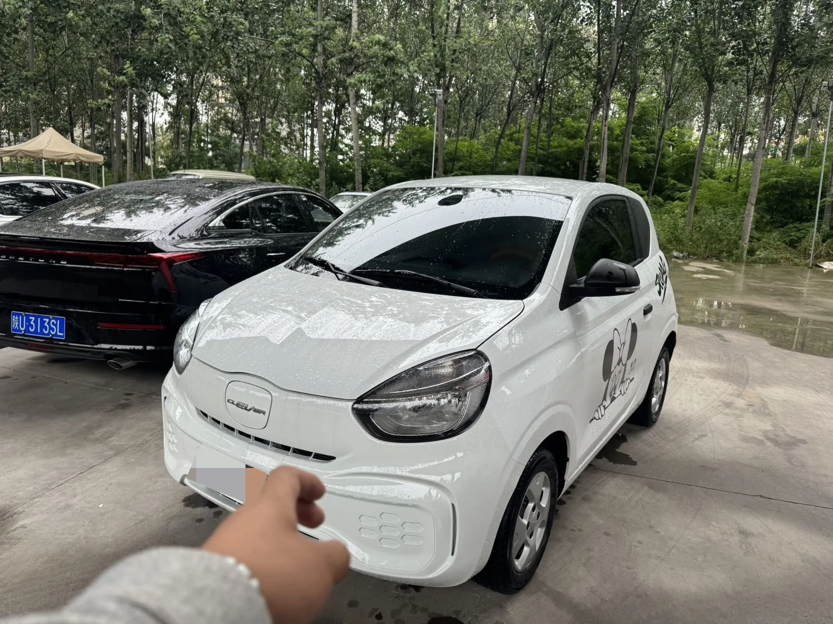 CLEVER 2021 Model 302km Excellence Edition