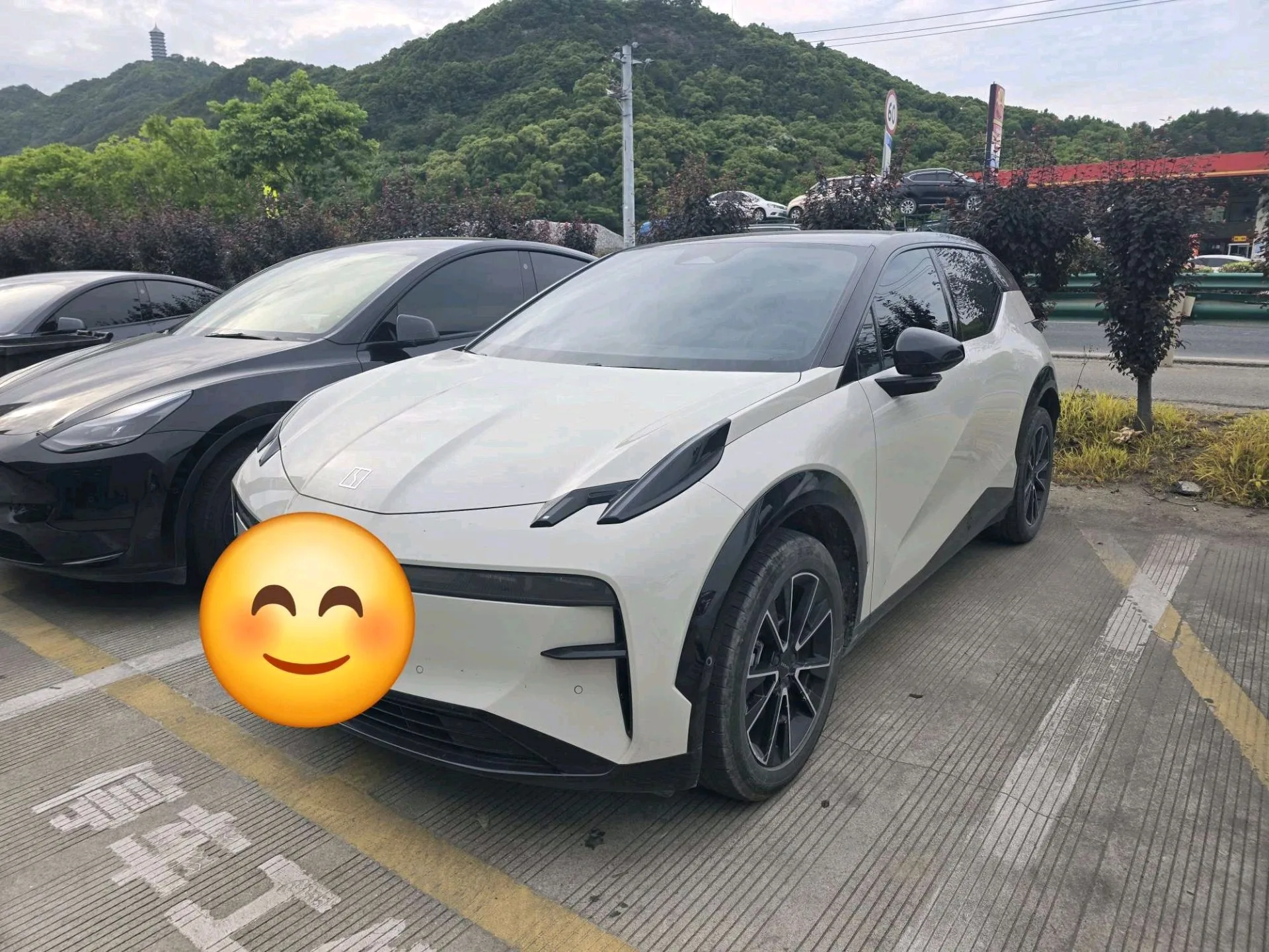 Zeekr X 2023 Rear-Wheel Drive YOU Edition 4-Seater
