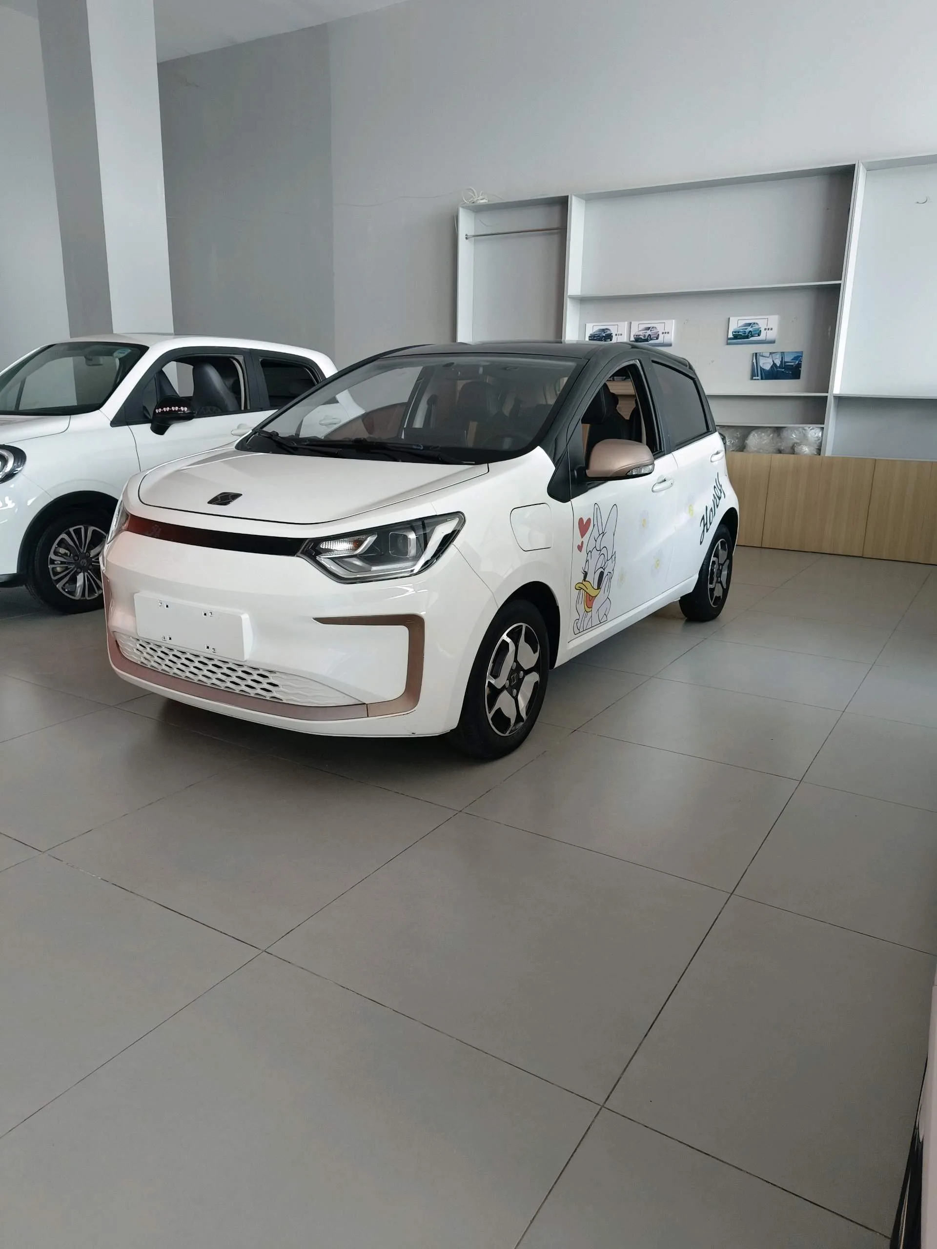 Flower Fairy 2023 Anniversary Edition 301 km Sunflower 45 kW