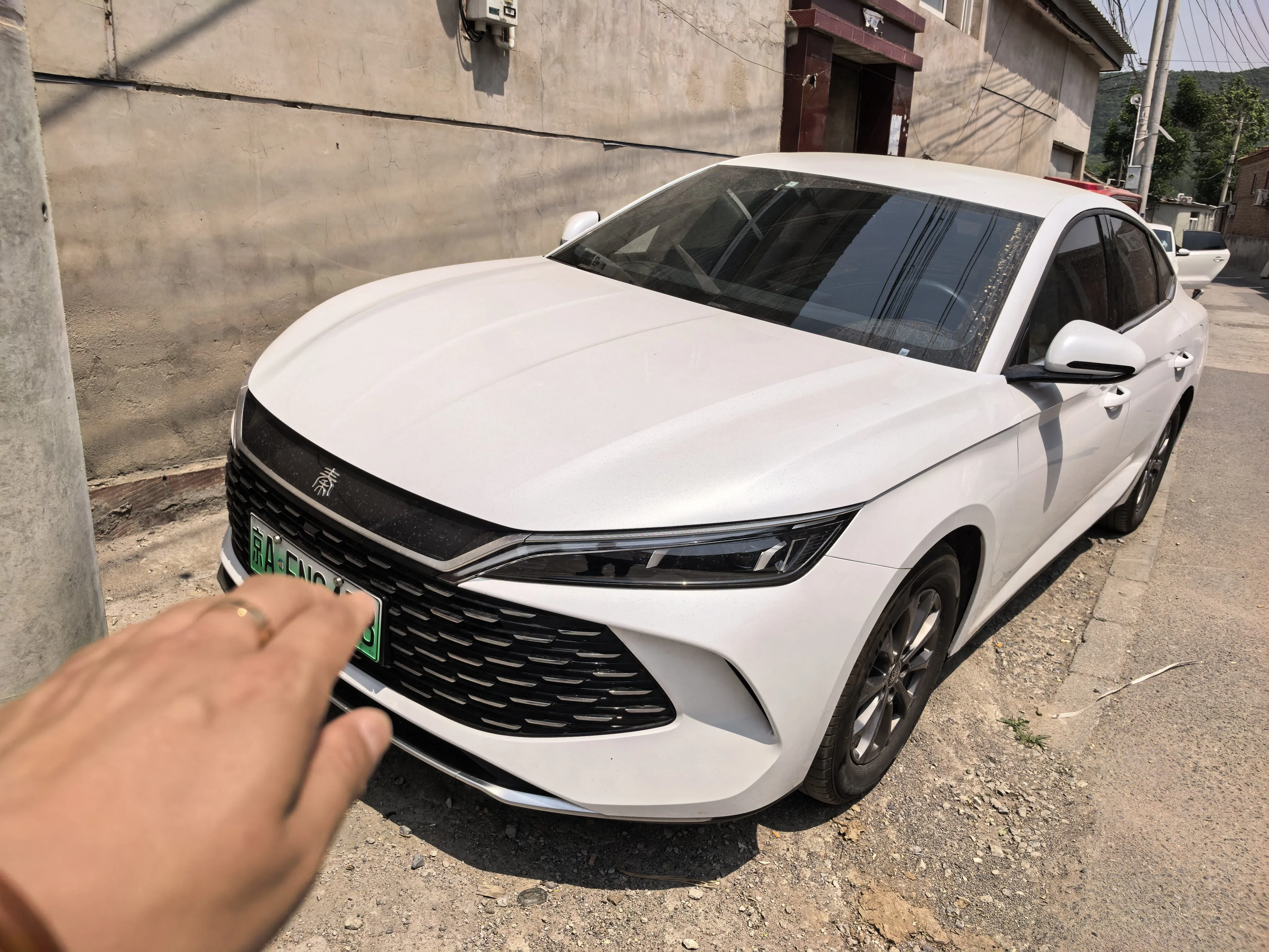 Qin L 2024 DM-i 80KM Leading Edition